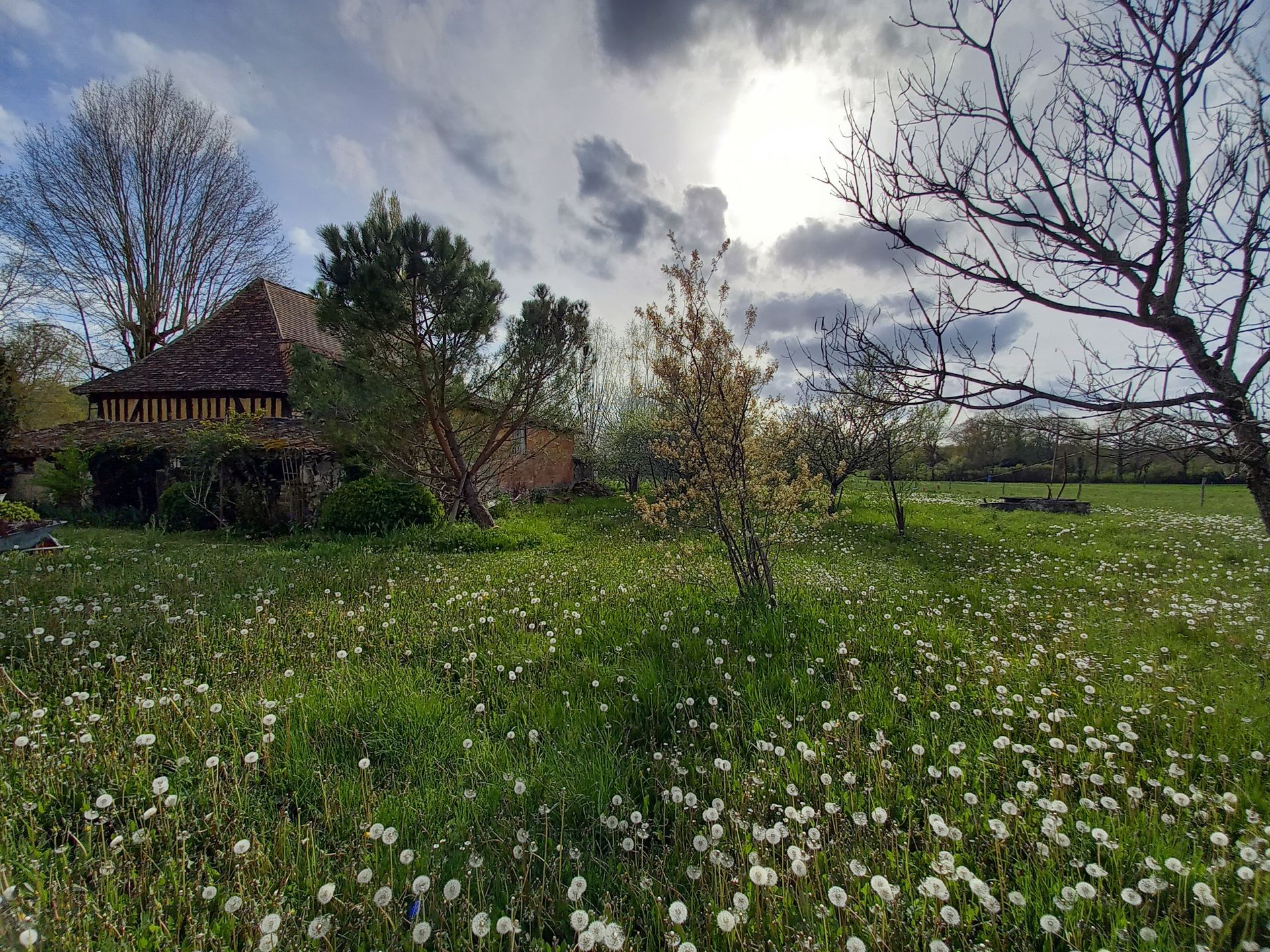 σπίτι σε Issigeac, Nouvelle-Aquitaine 11736854