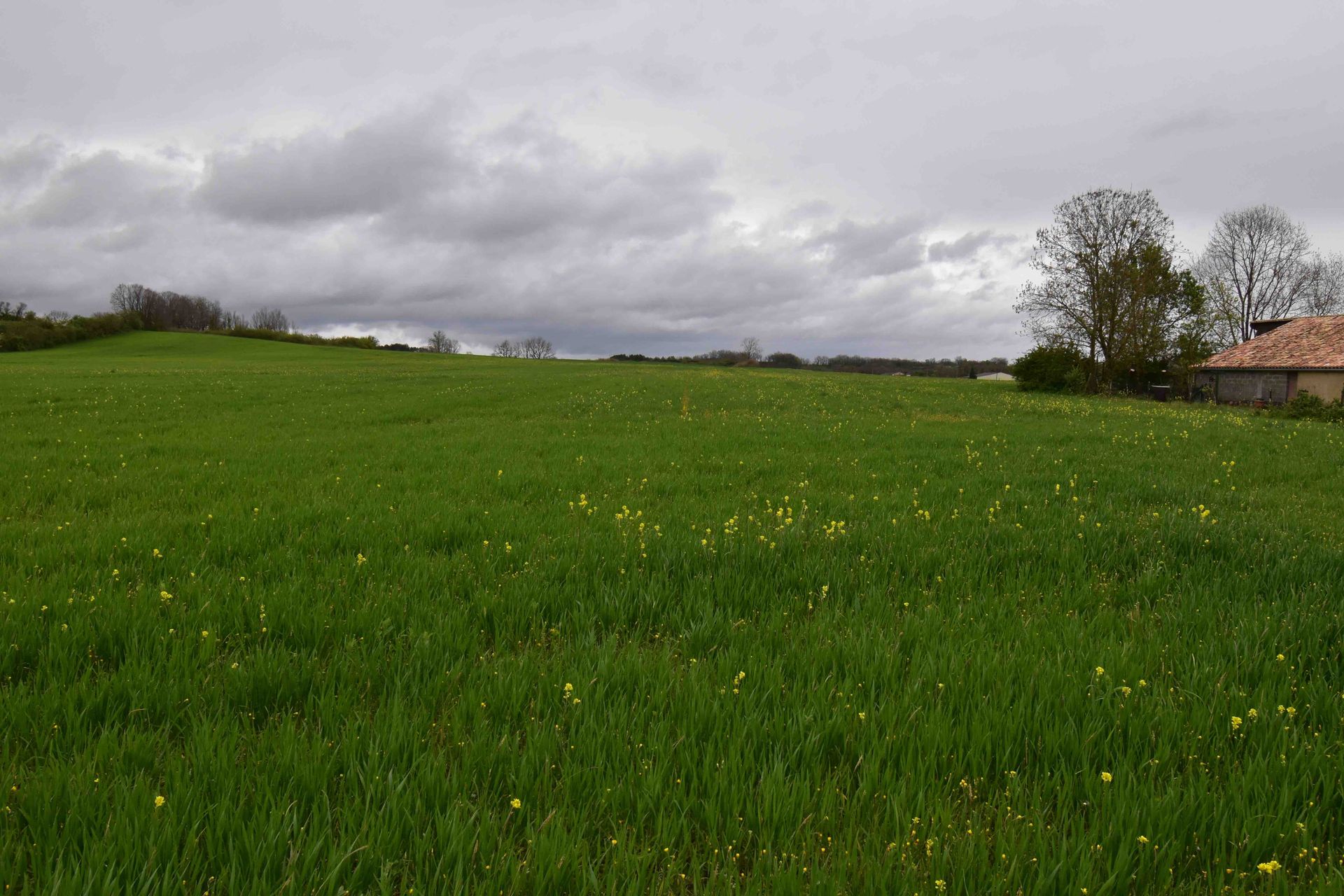 Land in Boisse, Nouvelle-Aquitaine 11736858