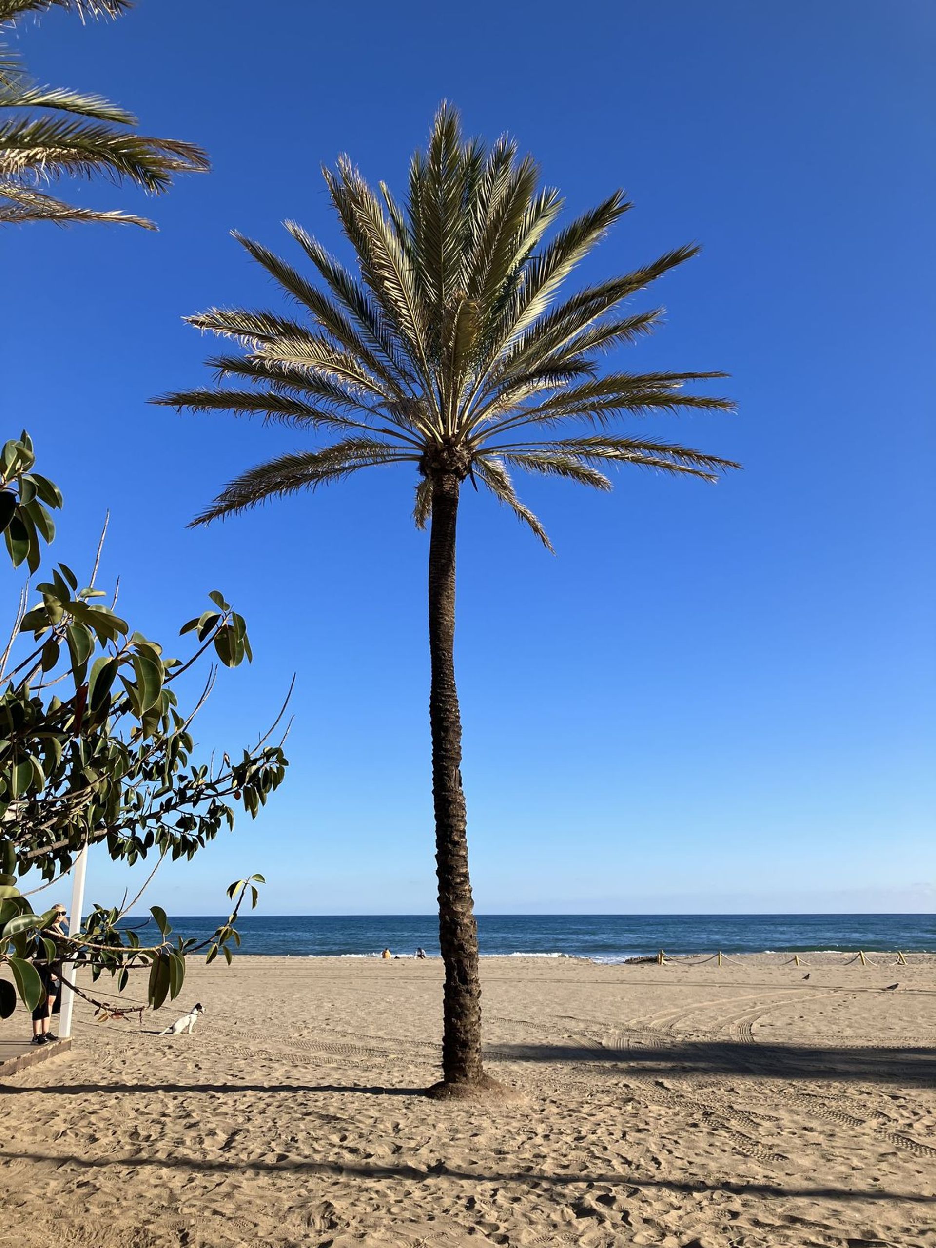 Condomínio no Fuengirola, Andalusia 11736906