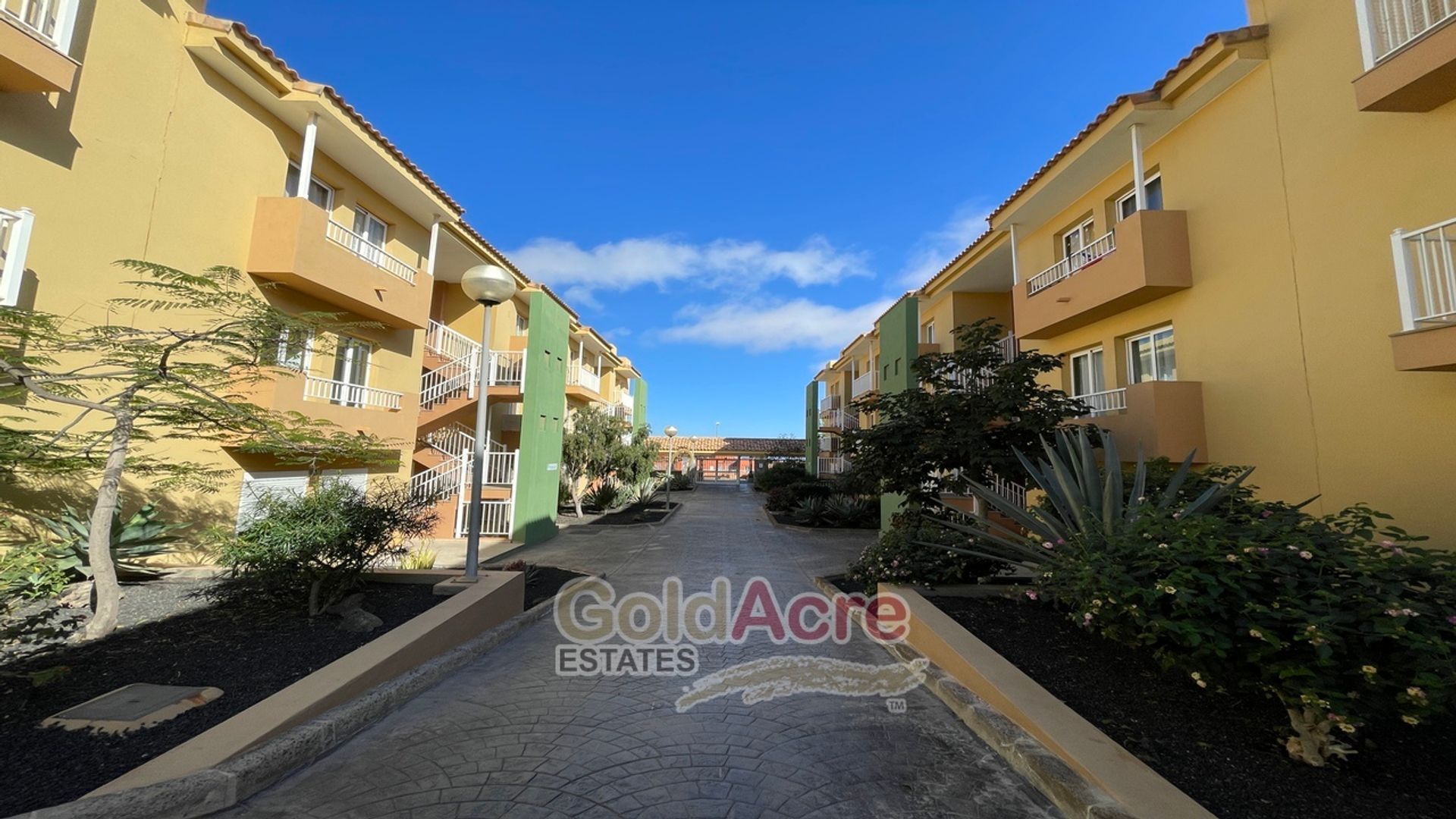 Condominium dans Corralejo, Canarias 11736992