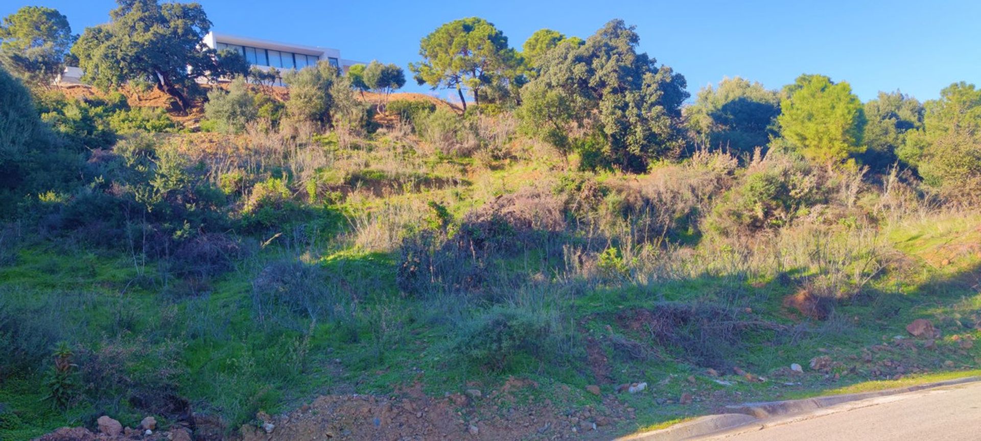 Land i Benahavis, Andalusia 11737310