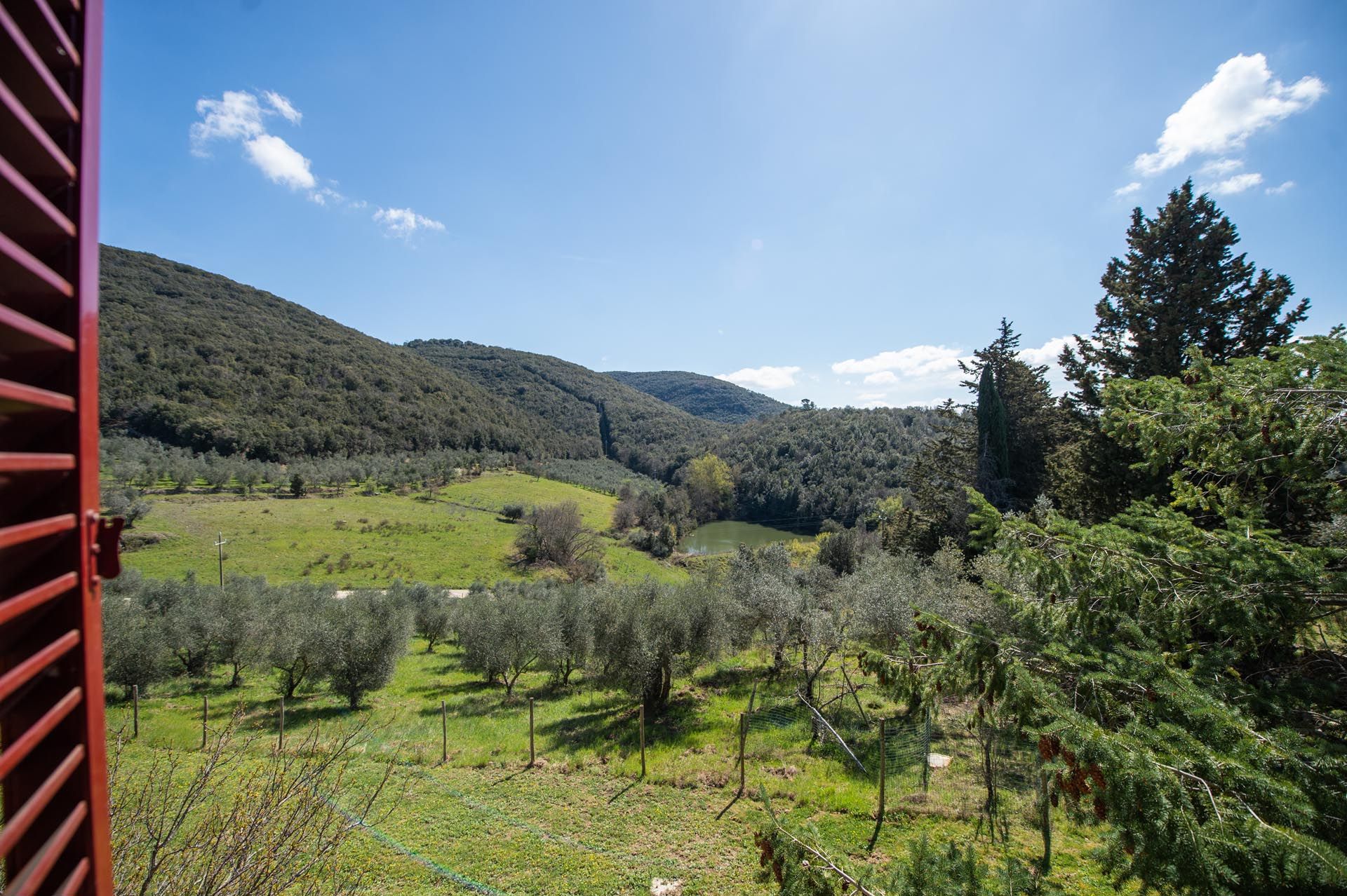 House in Gaiole in Chianti, Tuscany 11738072