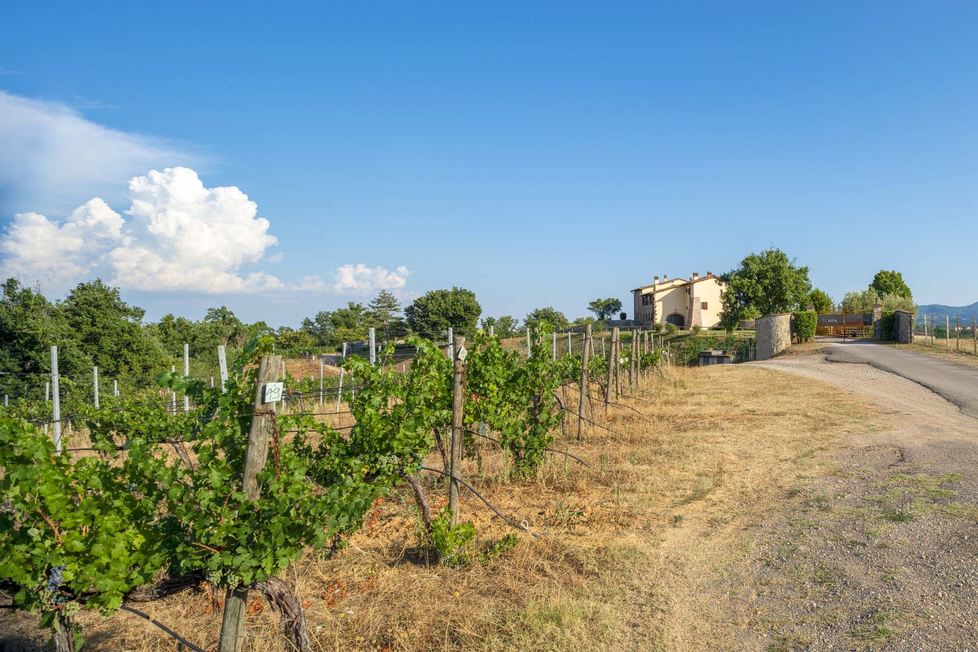 Annen i Montevarchi, Tuscany 11738088