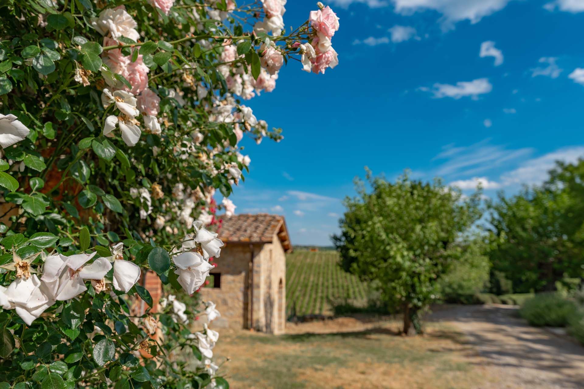 casa no Gaiole in Chianti, Tuscany 11738095