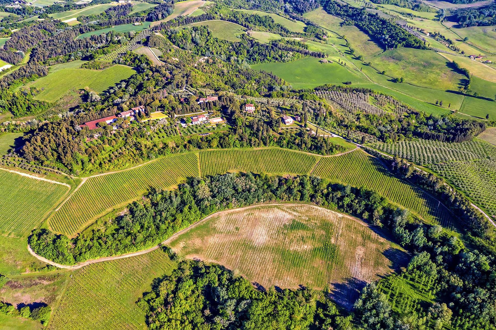 Lain di San Miniato, Tuscany 11738161