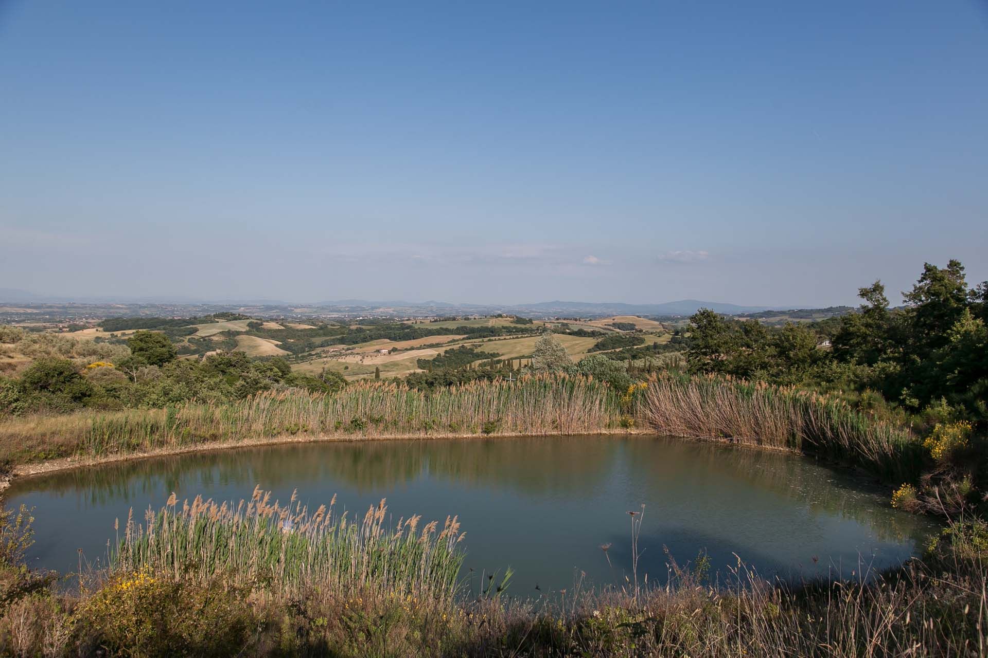 其他 在 Torrita di Siena, Toscana 11738163