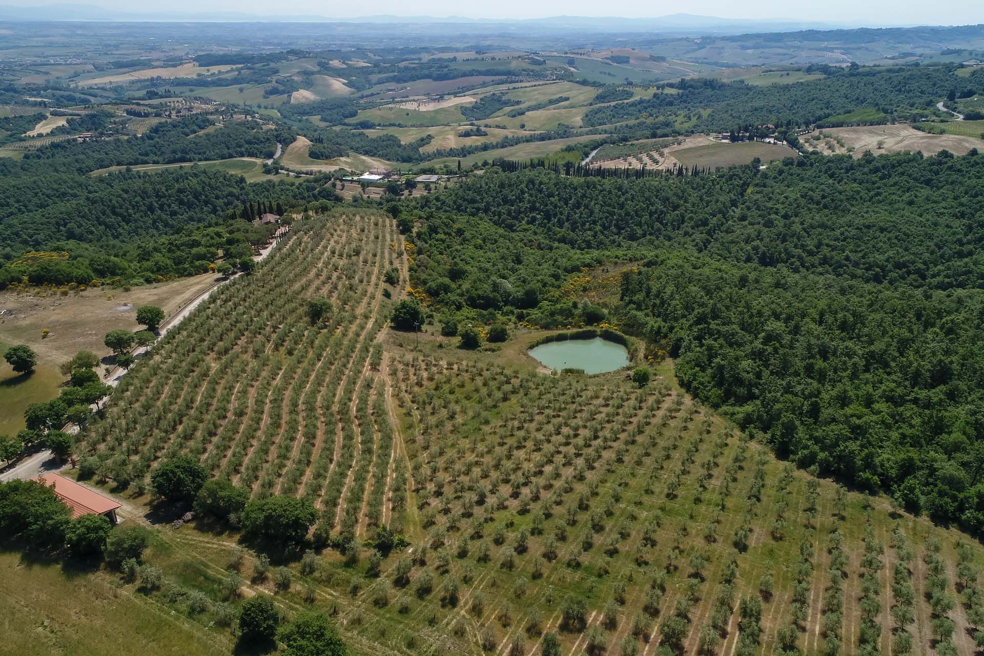 其他 在 Torrita di Siena, Toscana 11738163