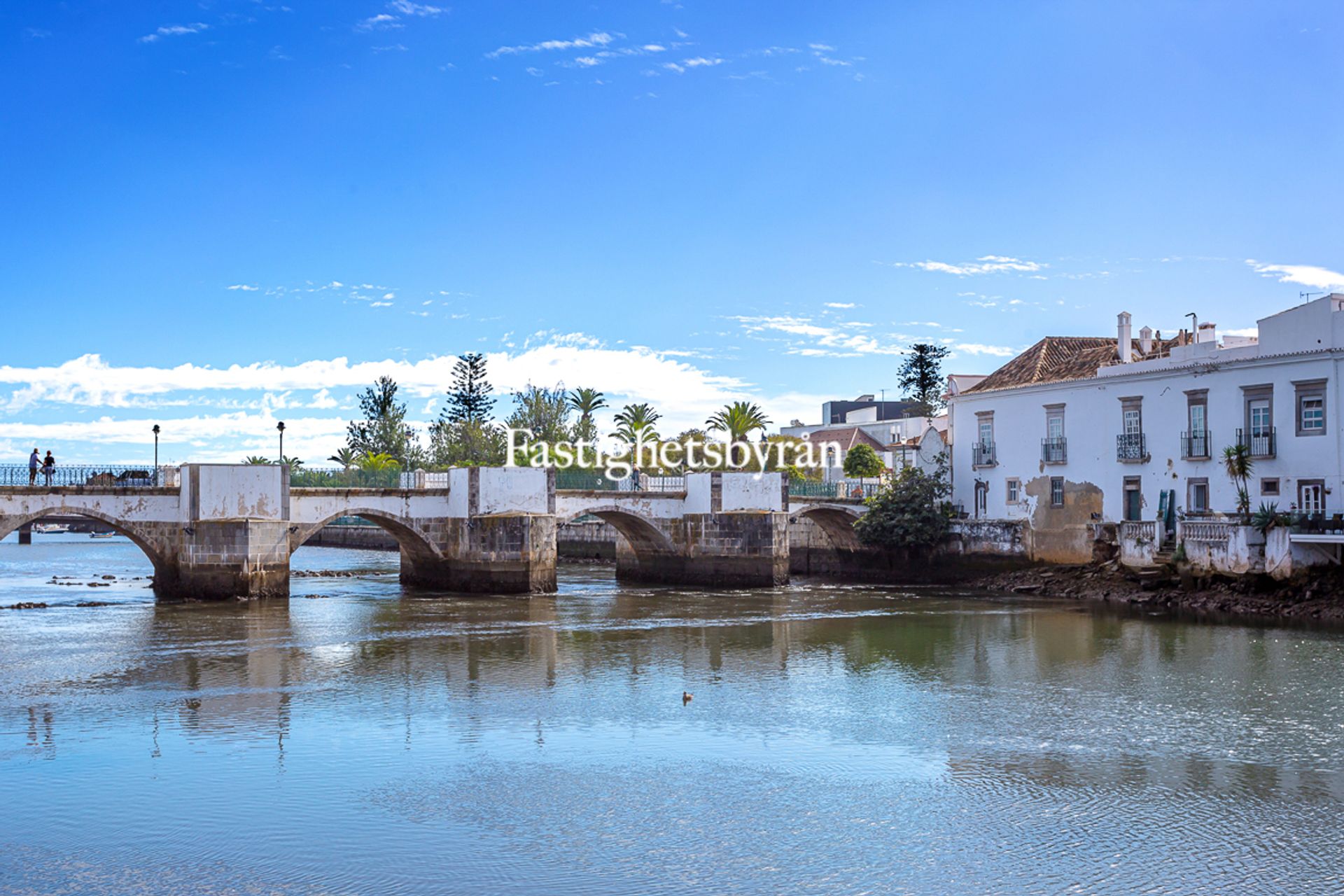 Outro no Tavira, Faro District 11738229