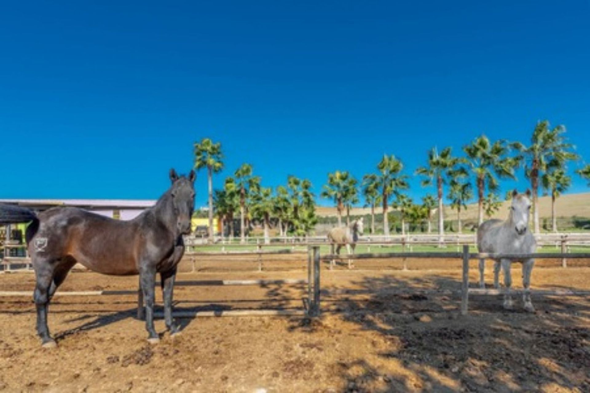 loger dans Coín, Andalusia 11738524