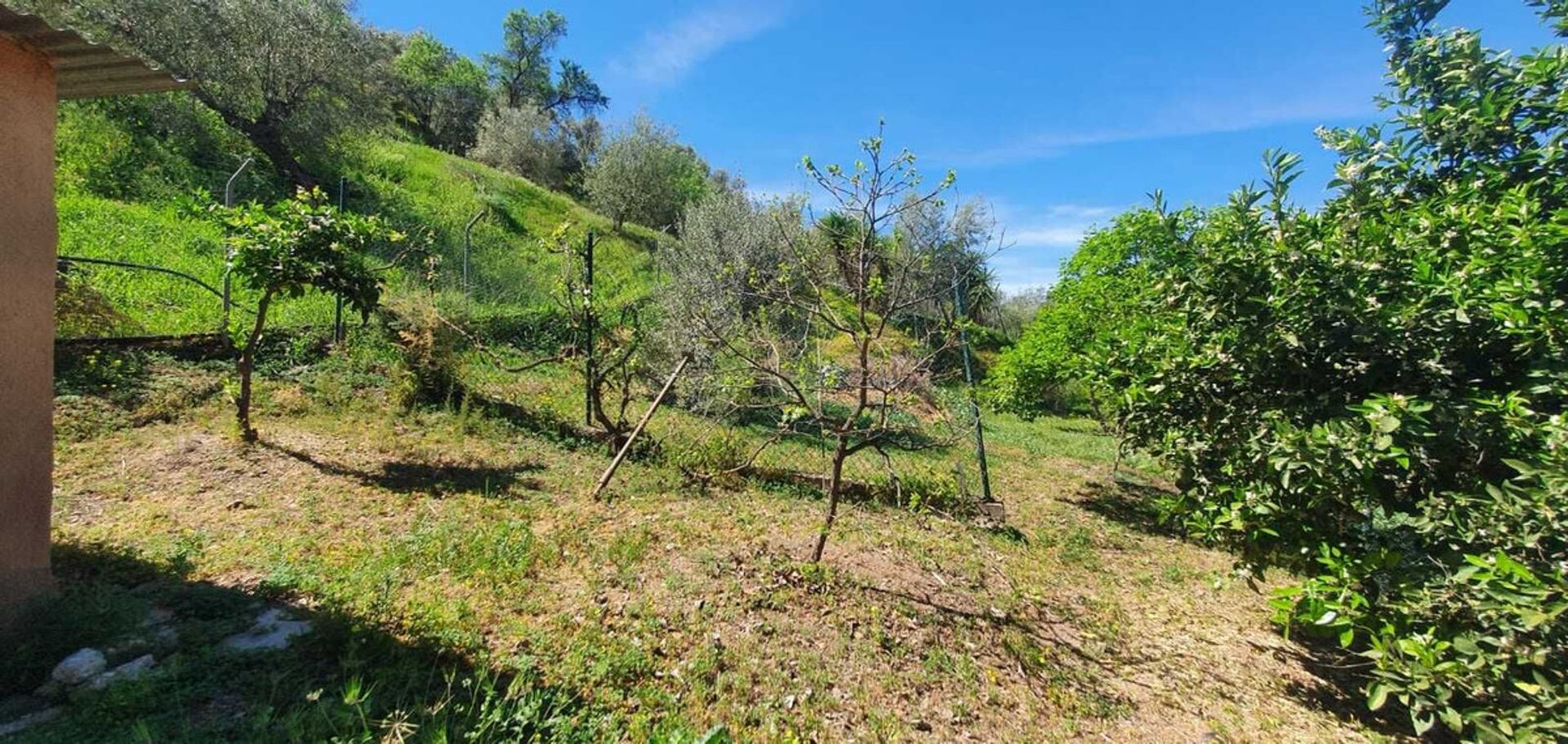 Rumah di Coín, Andalusia 11738566