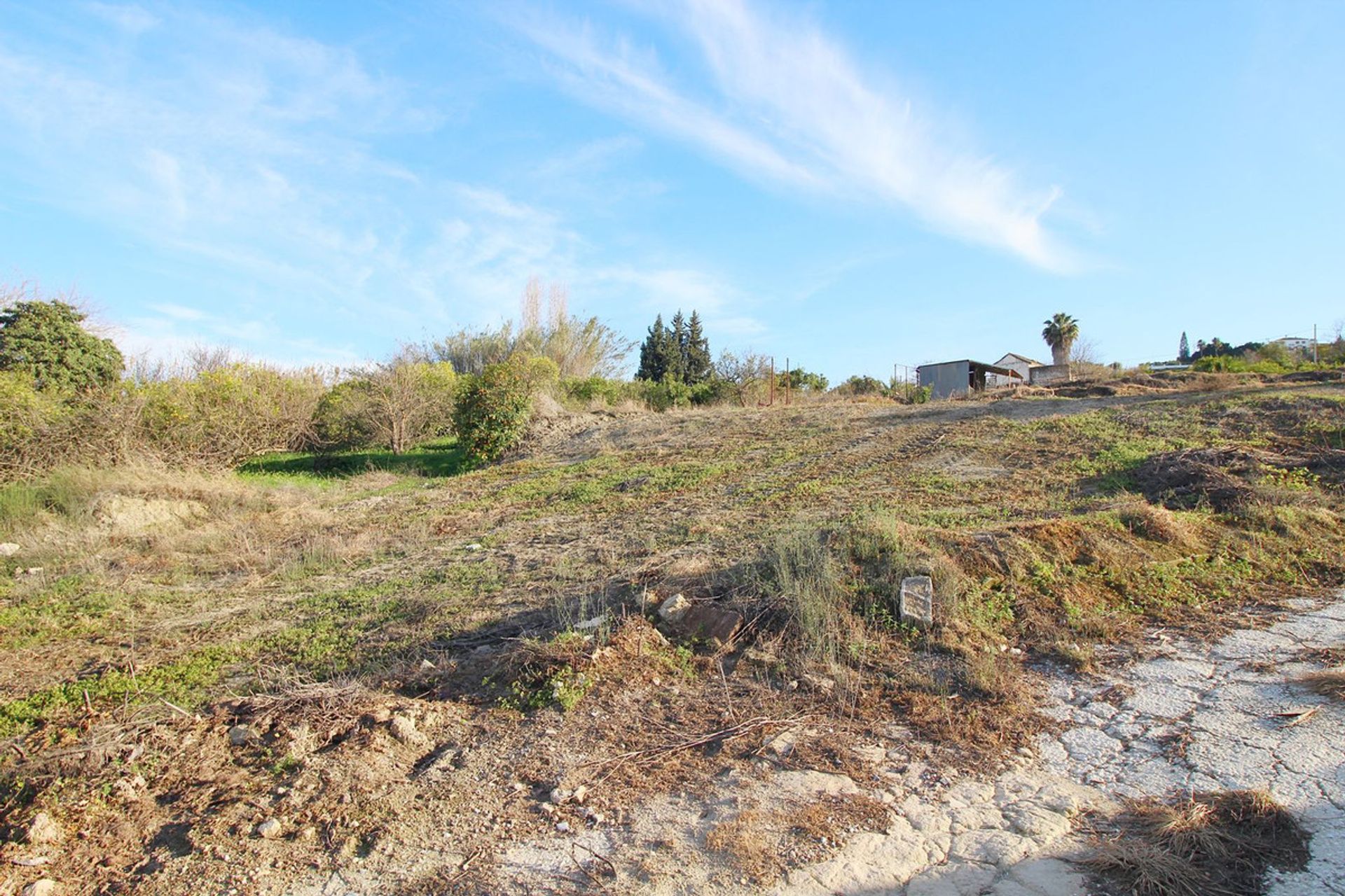 Land in Coín, Andalusia 11738596