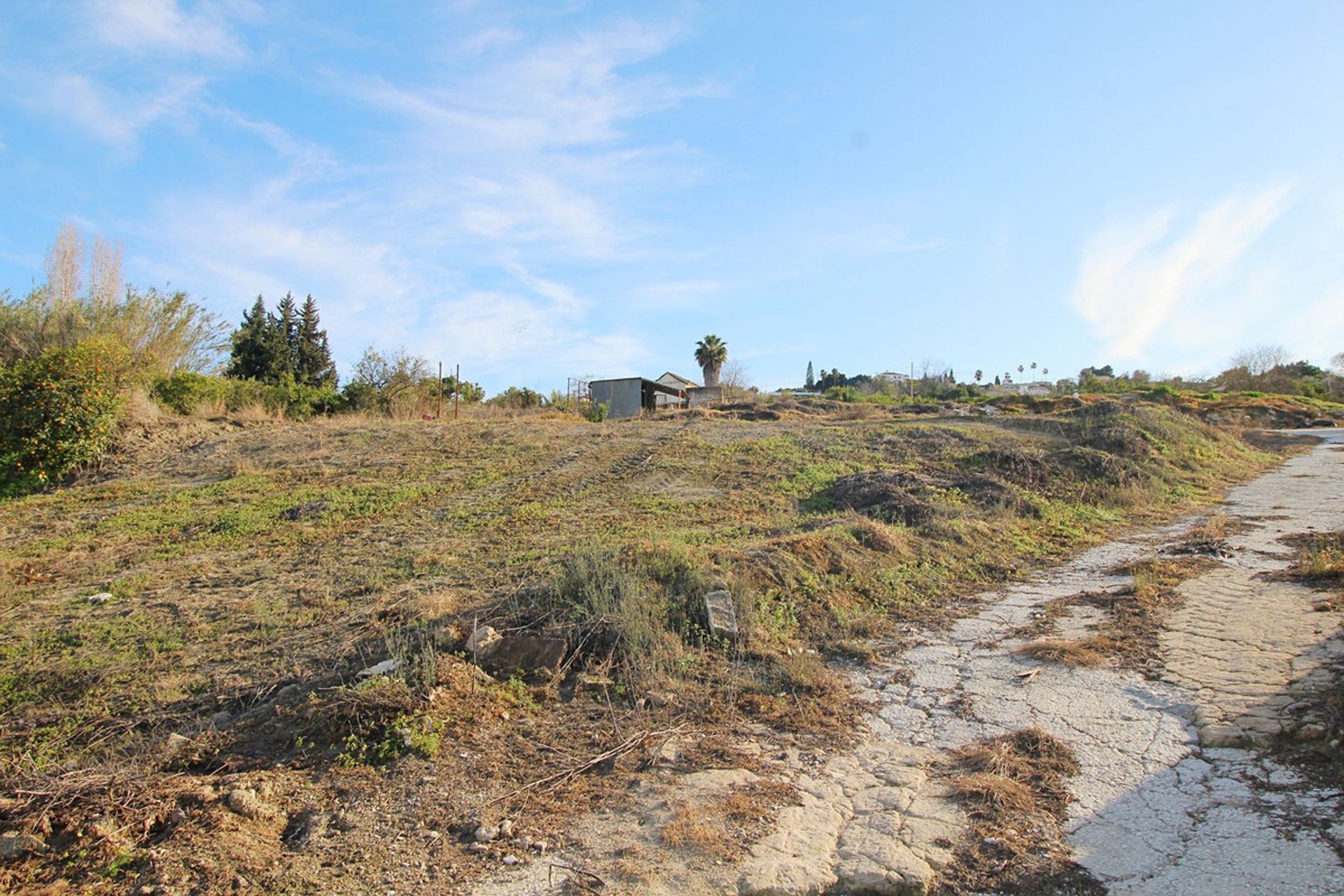 Land in Coín, Andalusia 11738596