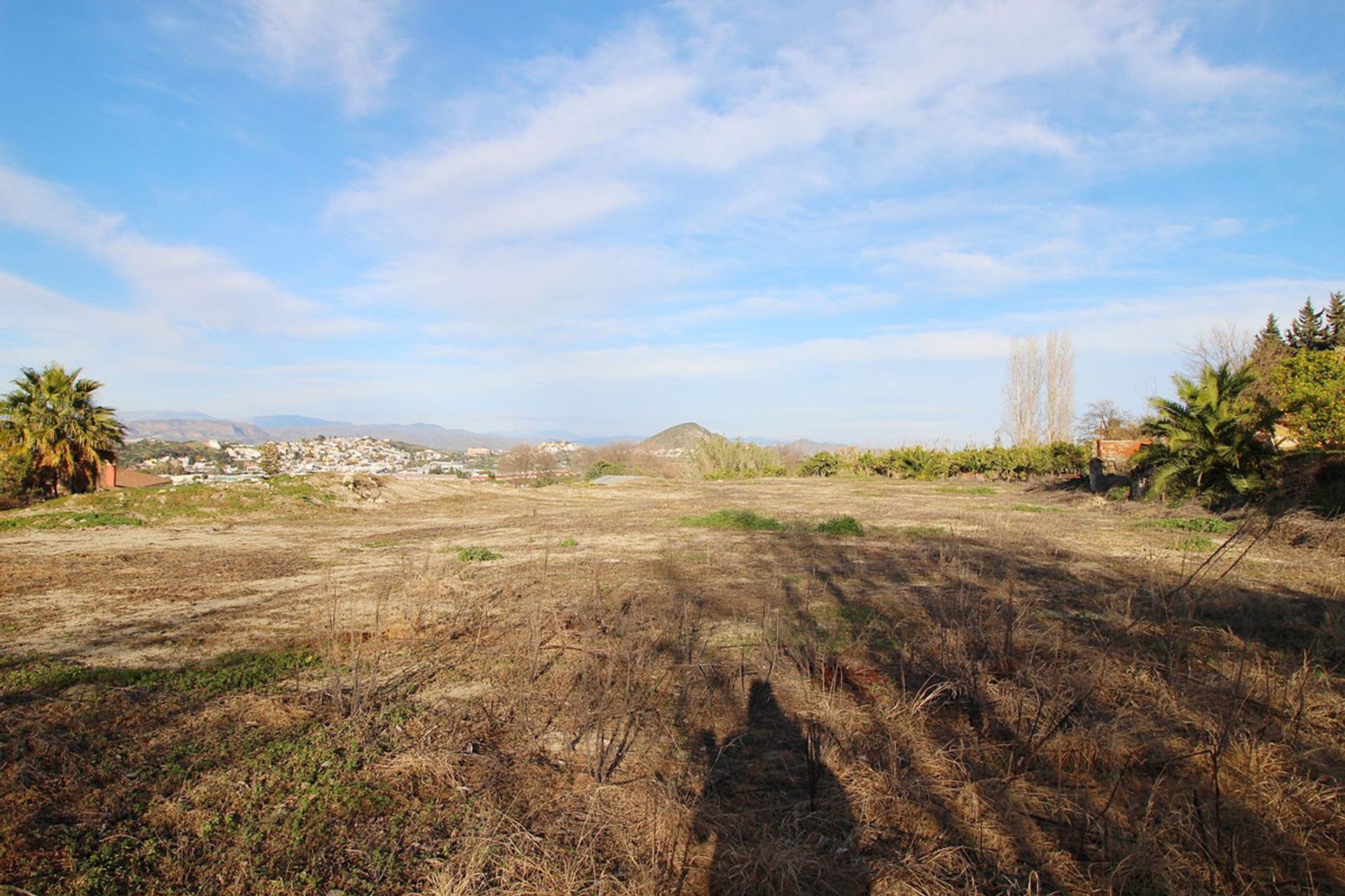 Land in Coín, Andalusia 11738596