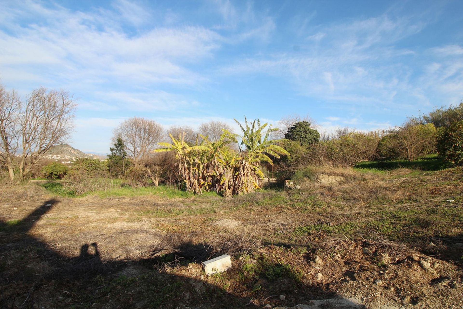 Land in Coín, Andalusia 11738596