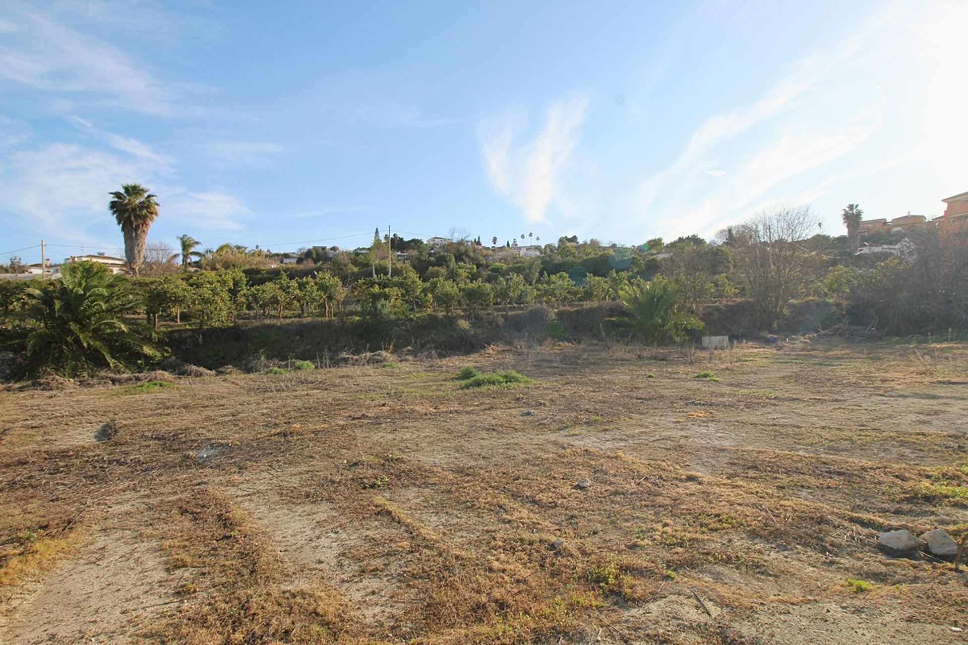 Land in Coín, Andalusia 11738596