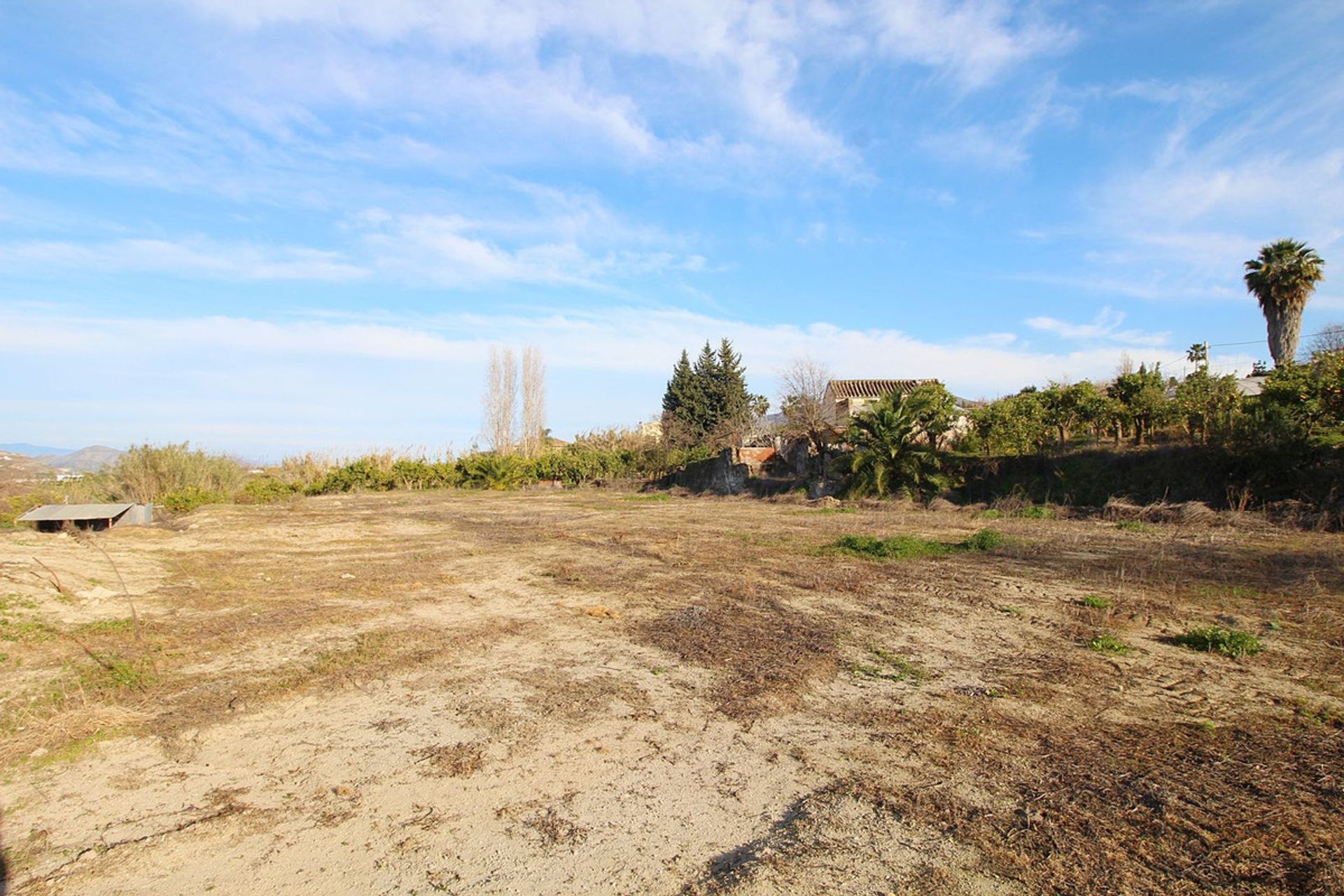 Land in Coín, Andalusia 11738596