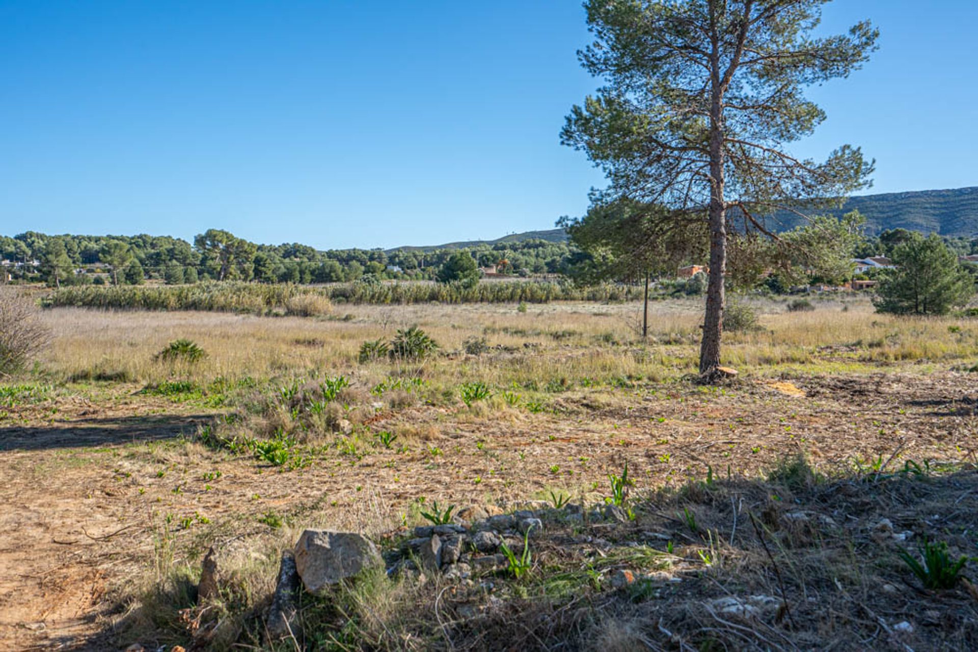 Terra no Benitachell, Valência 11738694