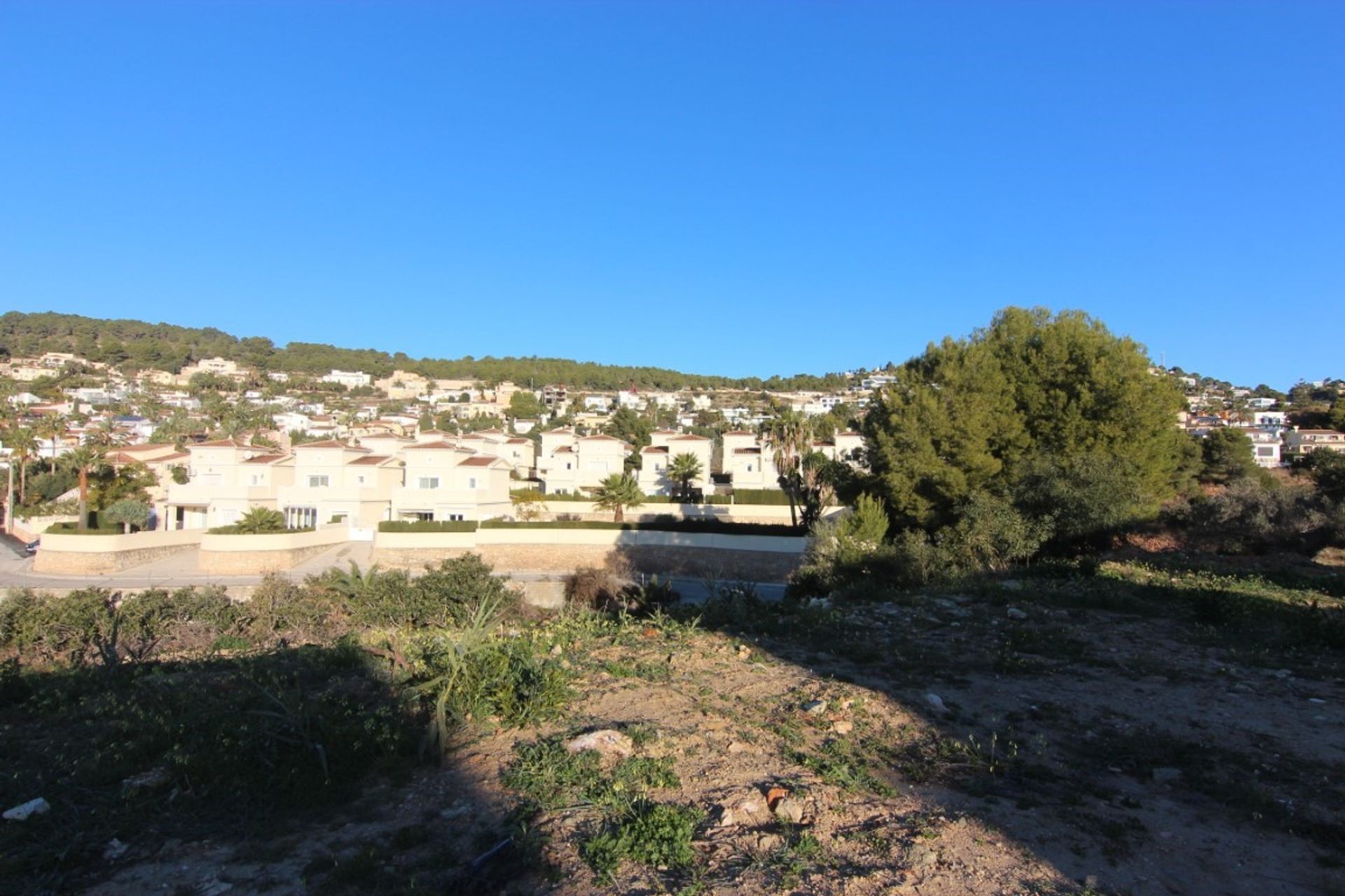 Terre dans Casas de Torrat, Valencia 11738715