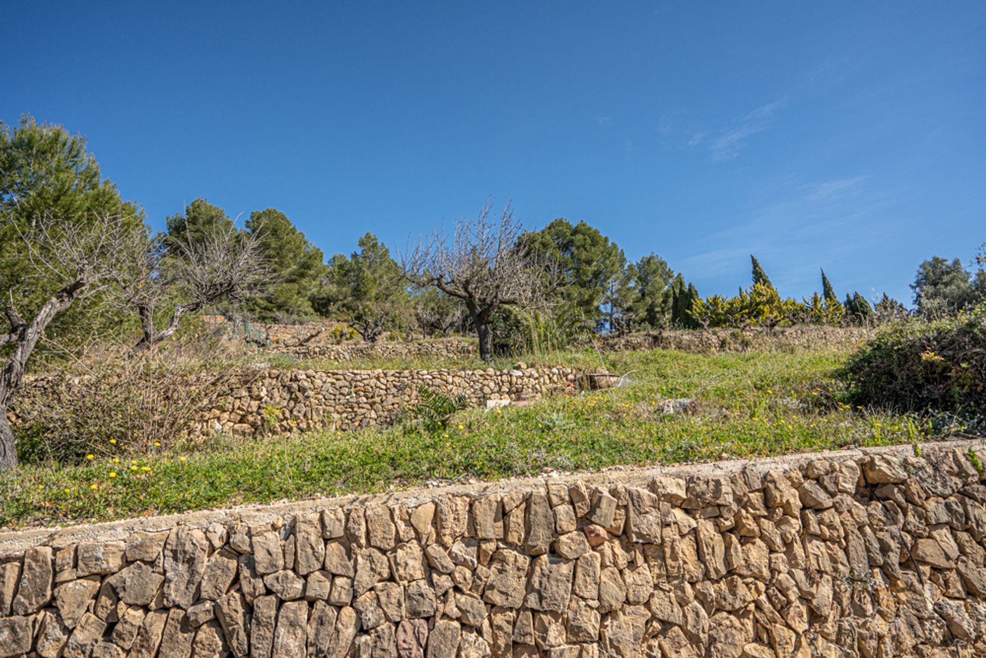 집 에 Dénia, Comunidad Valenciana 11738806