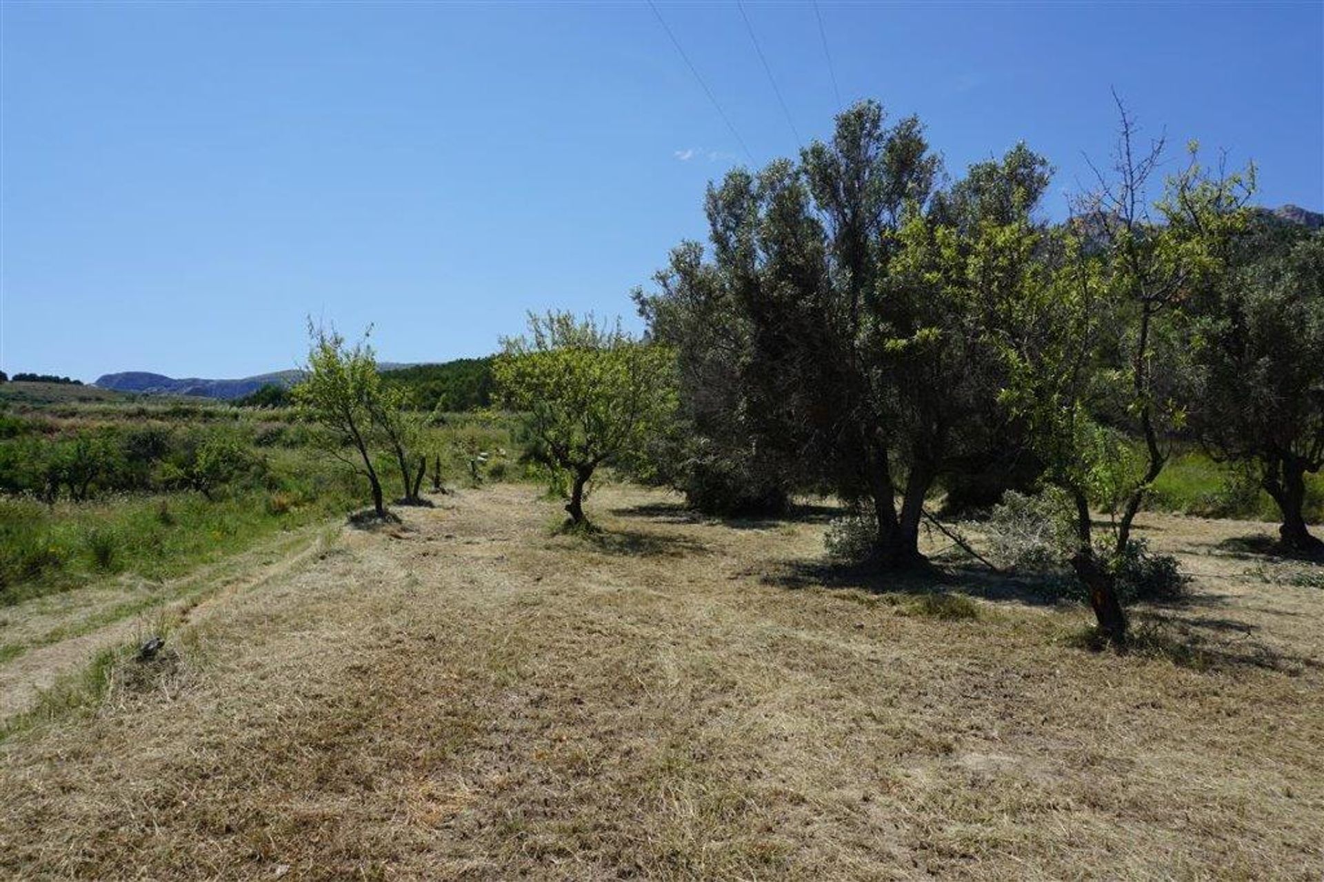 rumah dalam El Castell de Guadalest, Valencian Community 11738842