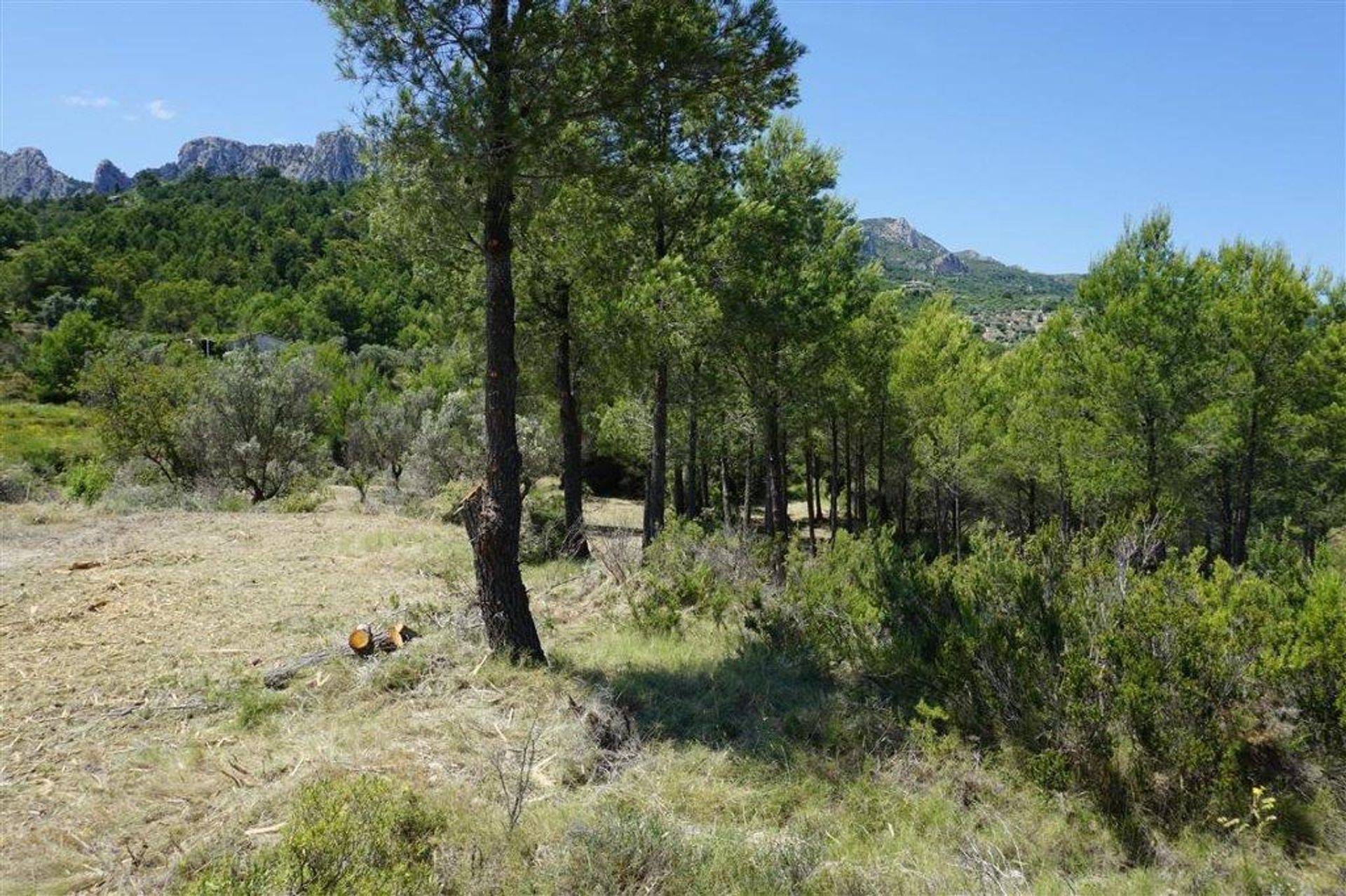 rumah dalam El Castell de Guadalest, Valencian Community 11738842