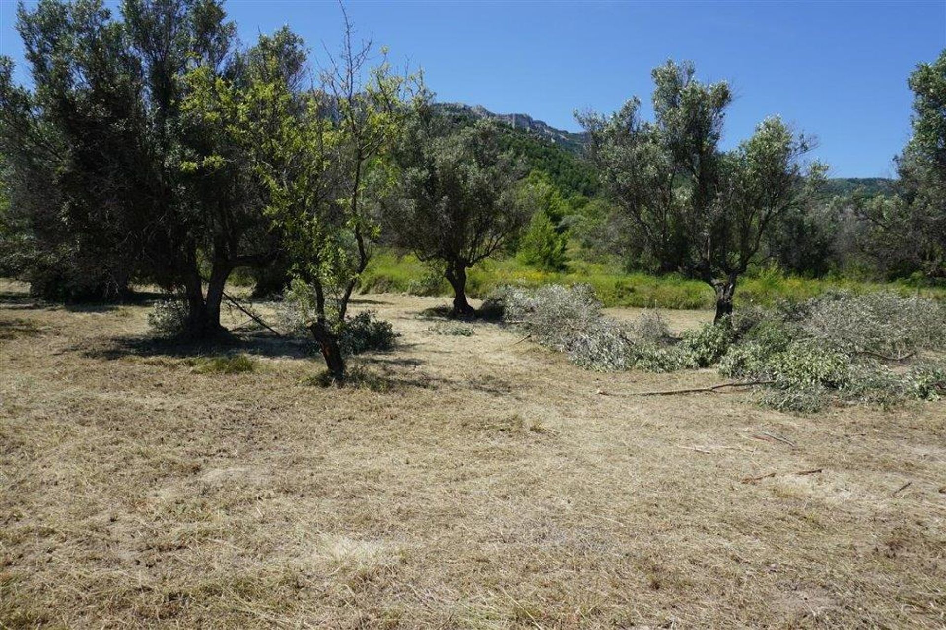 rumah dalam El Castell de Guadalest, Valencian Community 11738842