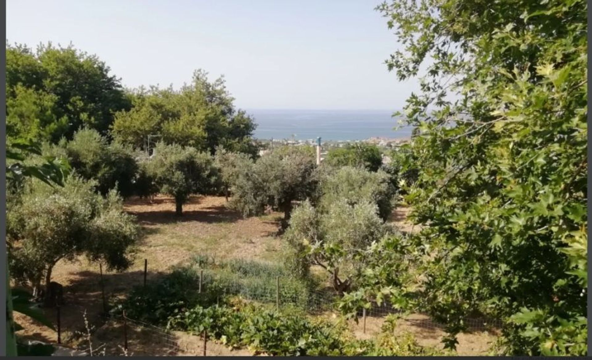 Land im Karystos, Sterea Ellada 11739120