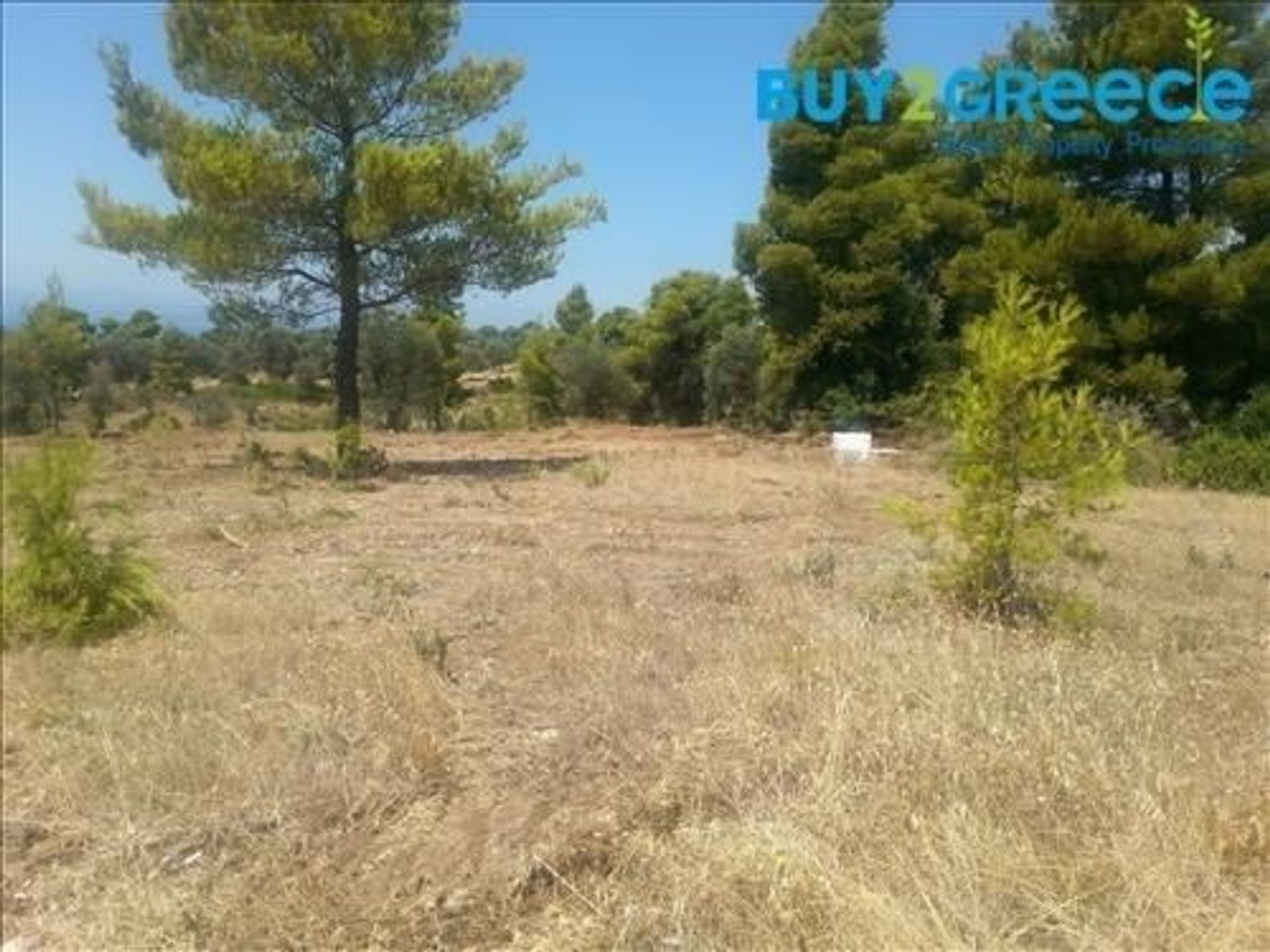 Land in Psachna, Sterea Ellada 11739171