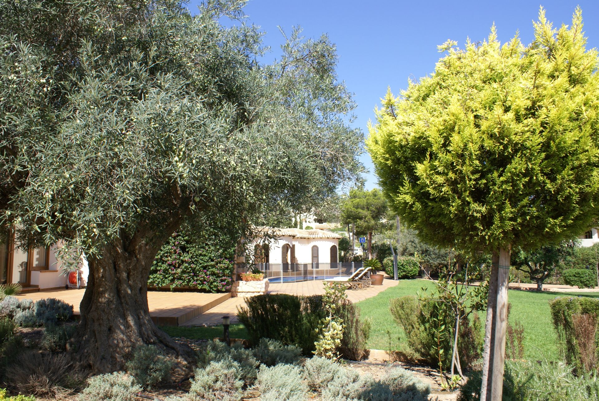 House in Atamaría, Región de Murcia 11739321