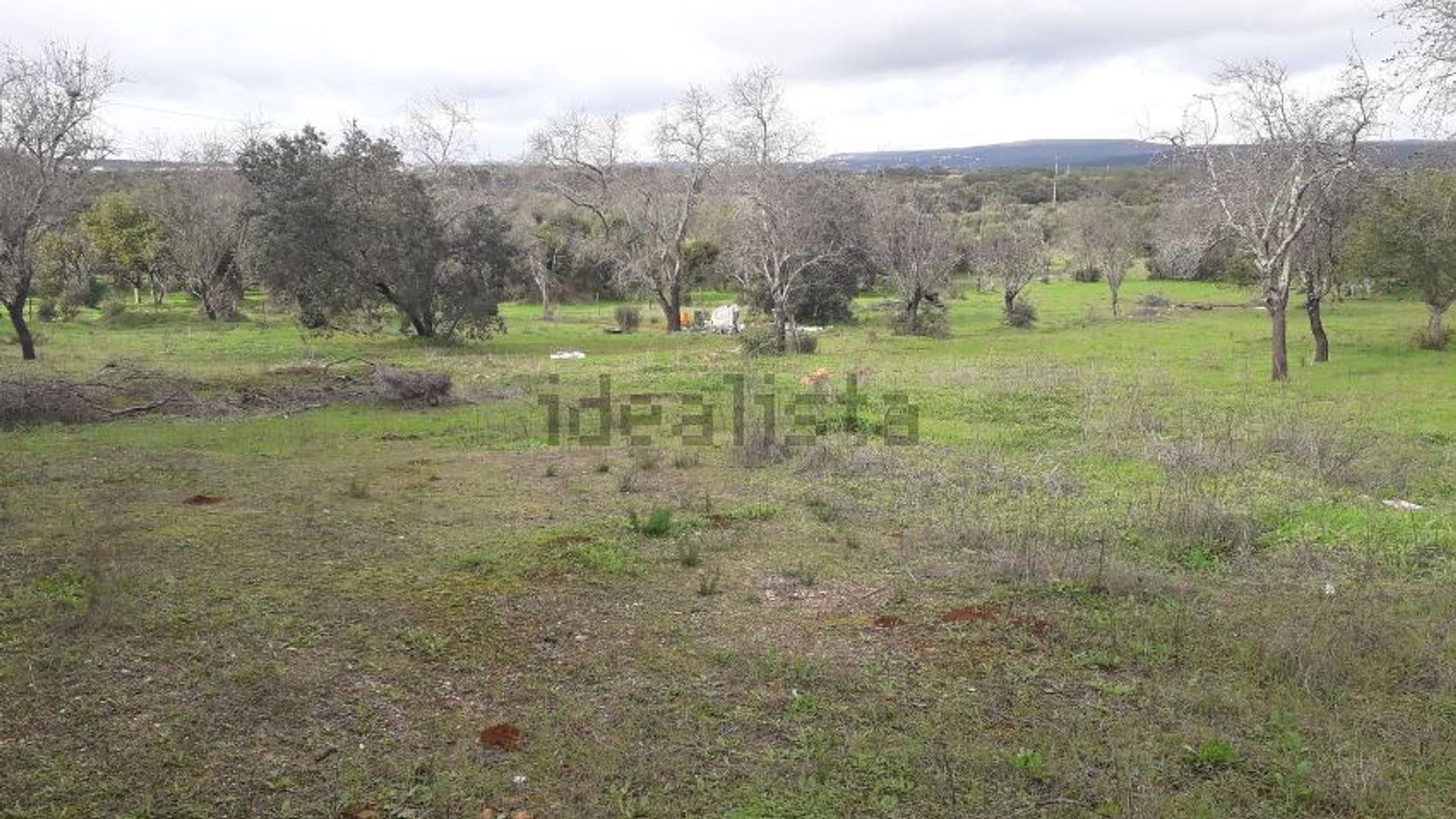 Land in Pera, Faro 11739664