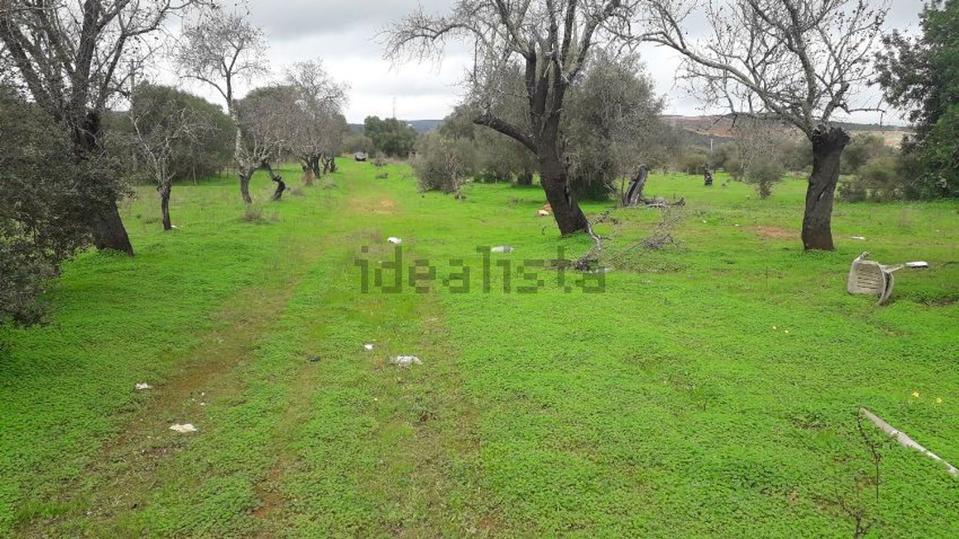 Land in Pera, Faro 11739664