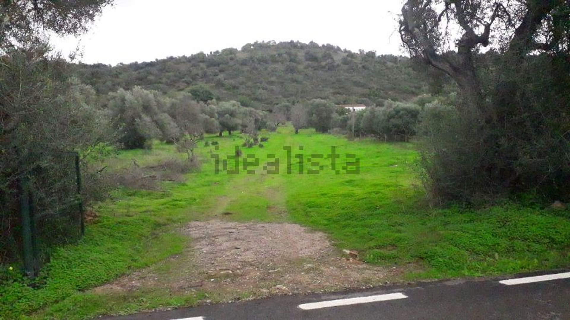 Land in Pera, Faro 11739664