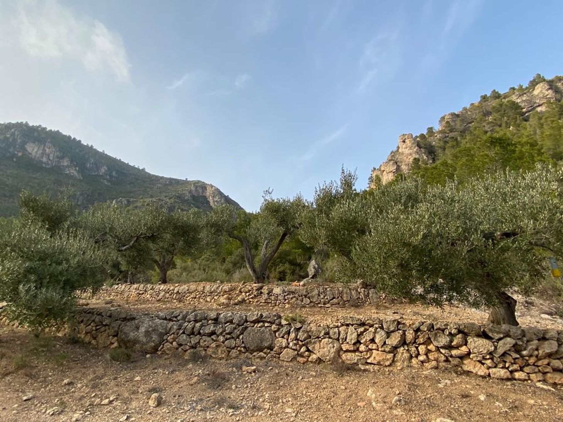 الأرض في Pratdip, Catalunya 11739797