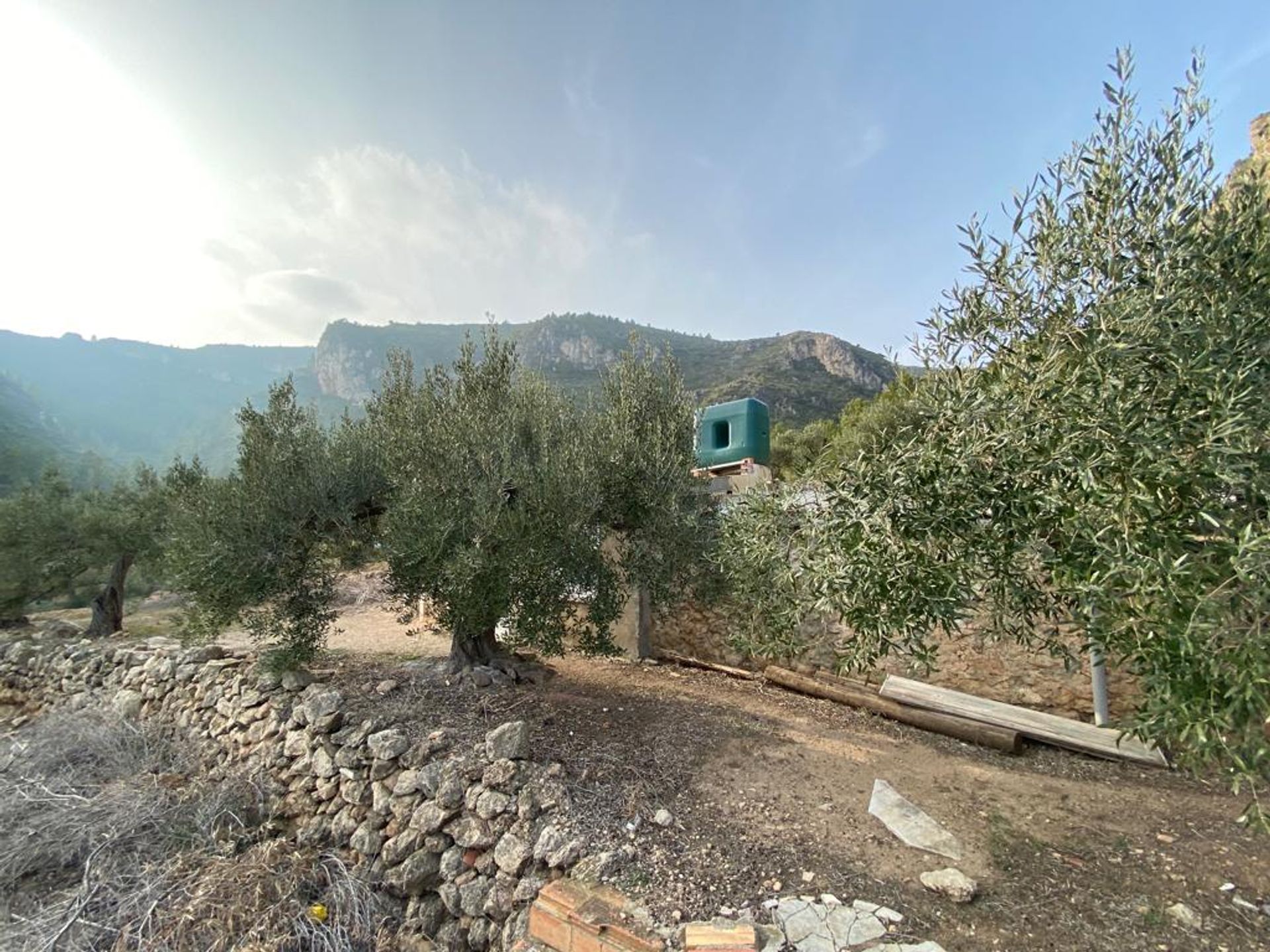 الأرض في Pratdip, Catalunya 11739797