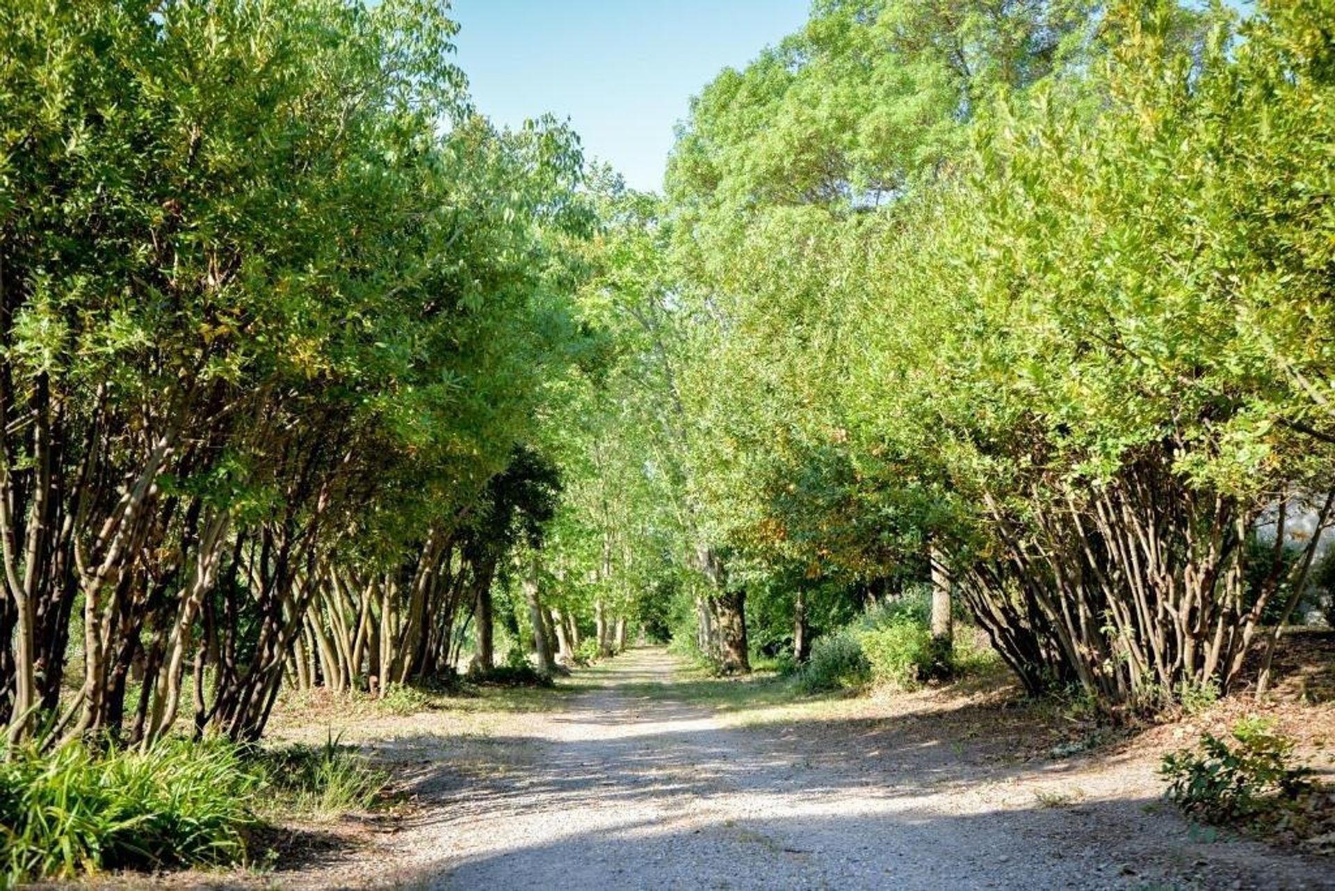 Condomínio no Azille, Occitanie 11739827