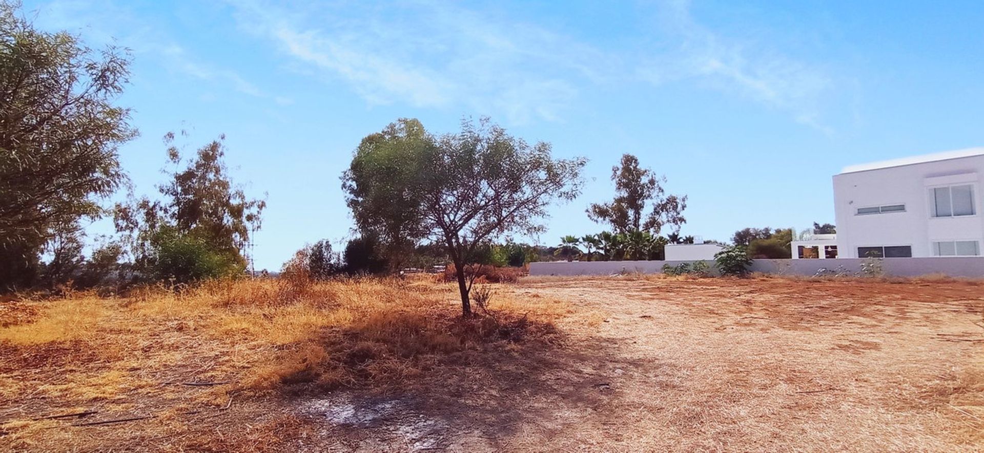 ארץ ב סנטה אורסולה, האיים הקנריים 11742039