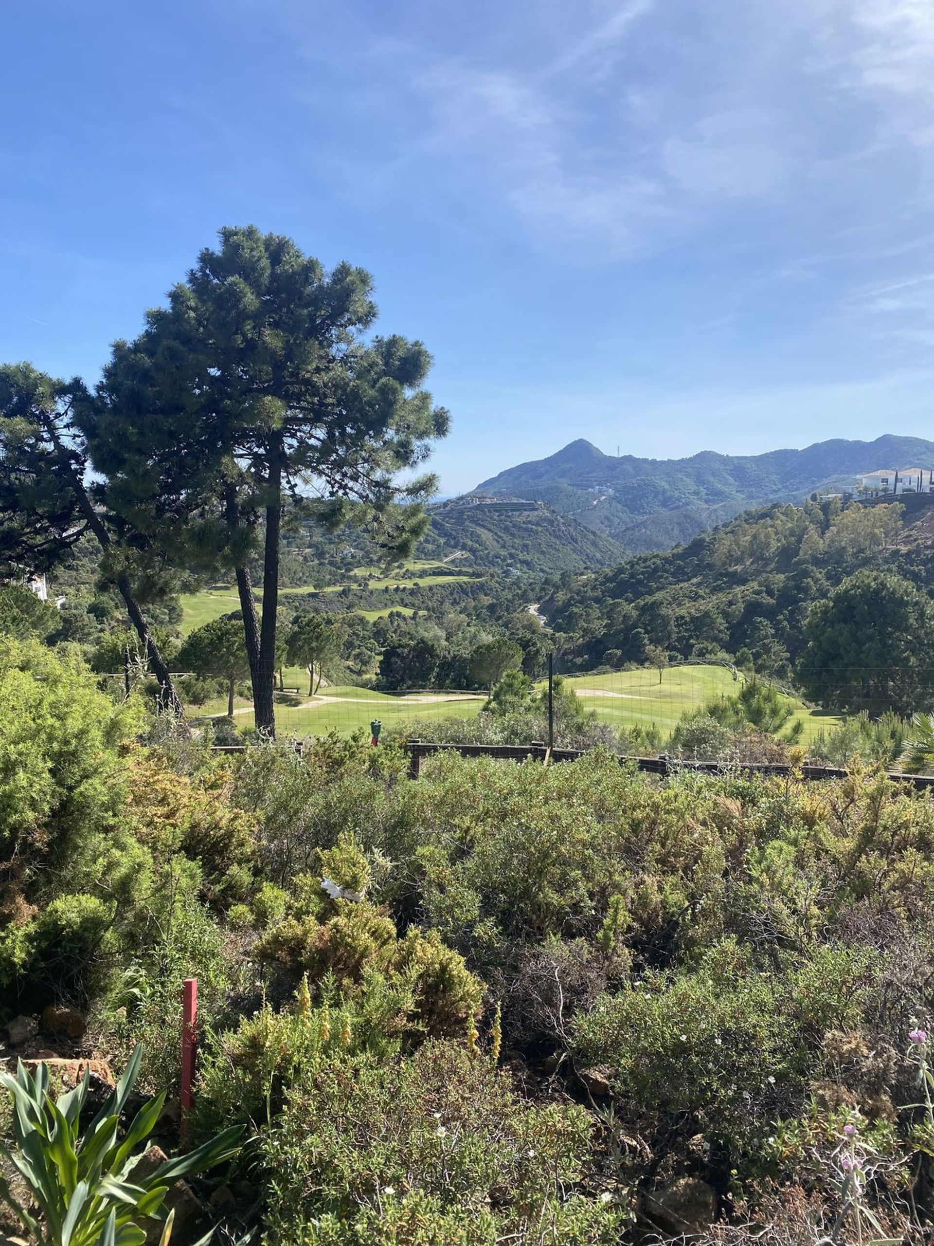 Terre dans Benahavís, Andalousie 11742083