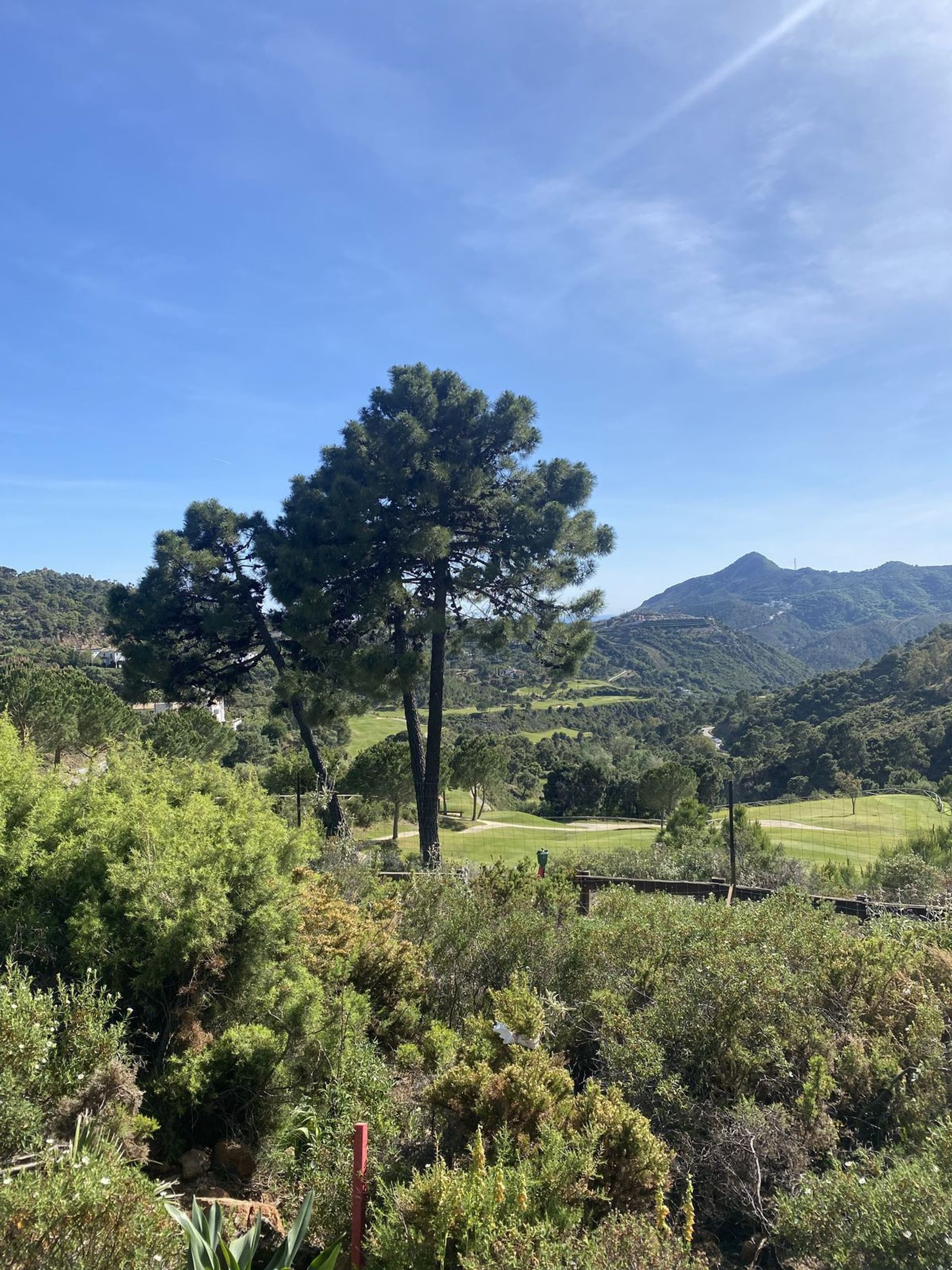 Terre dans Benahavís, Andalousie 11742083