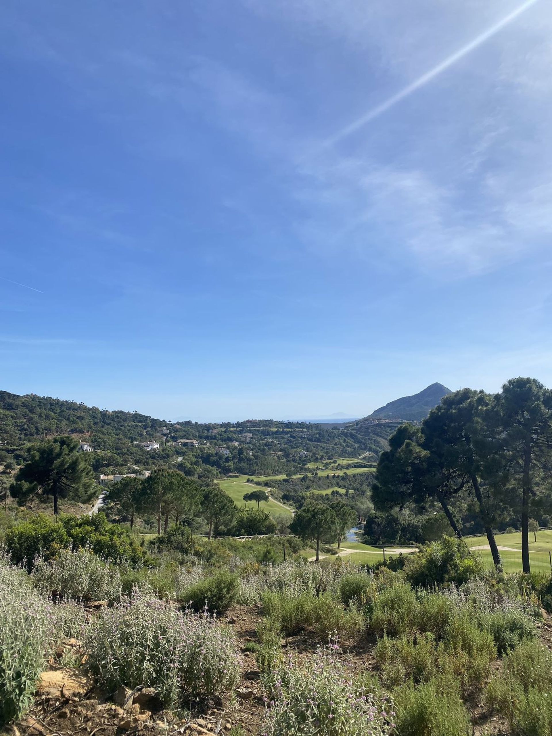 Terre dans Benahavís, Andalousie 11742083