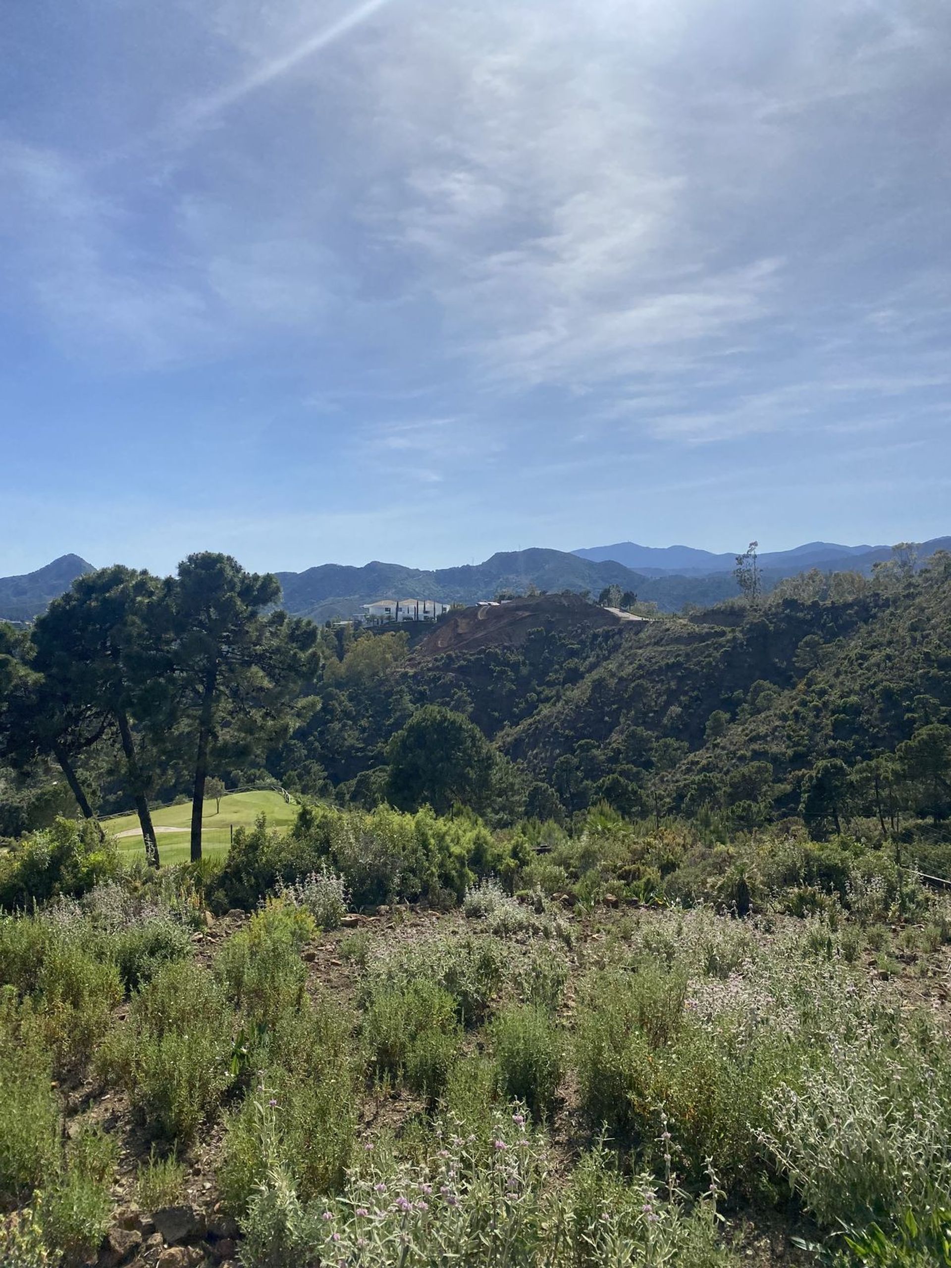 Terre dans Benahavís, Andalousie 11742083