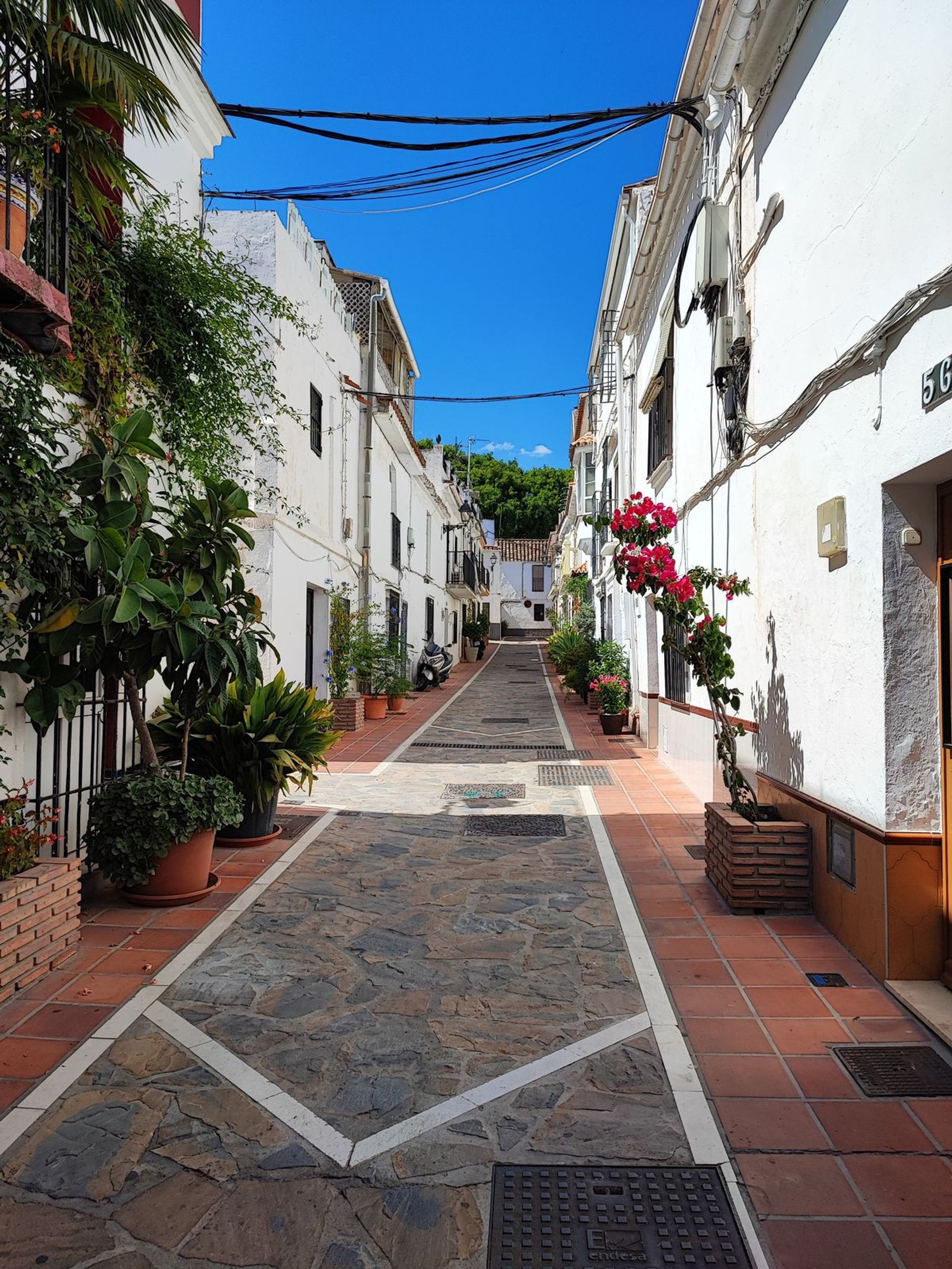 Terre dans Marbella, Andalousie 11742953