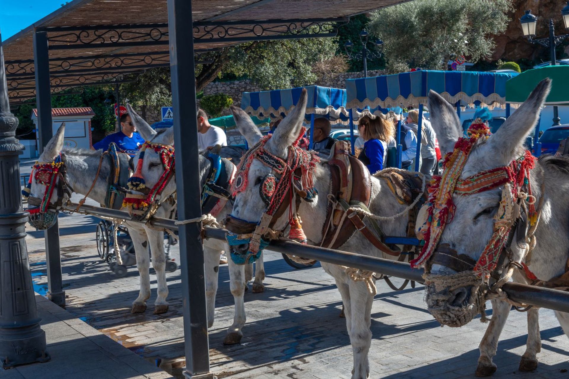 집 에 Mijas, Andalusia 11743281