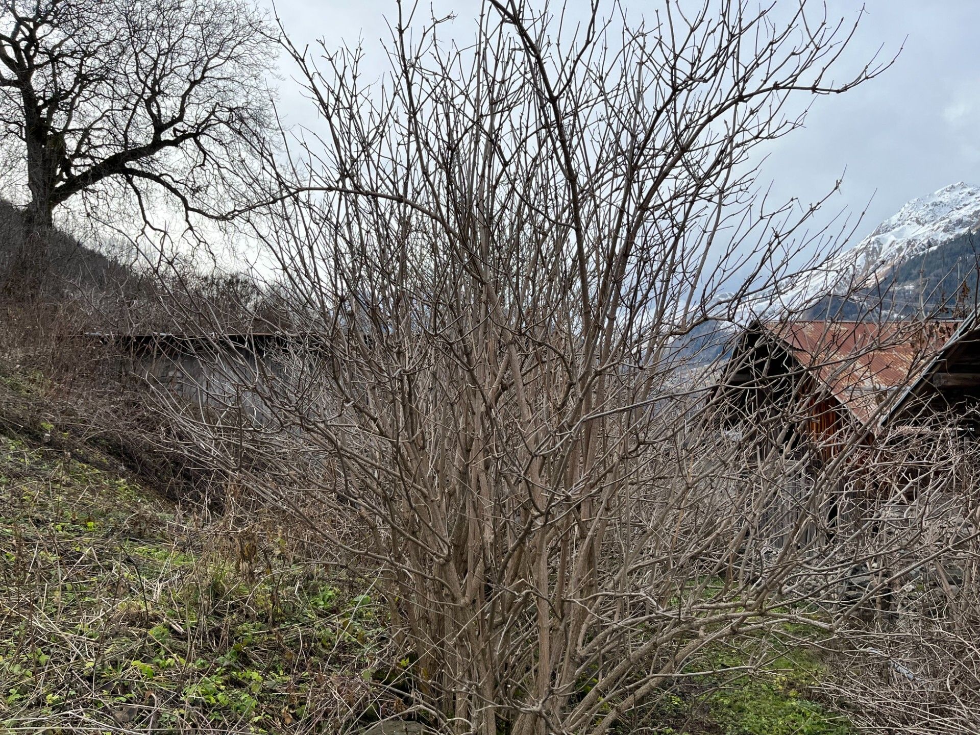 Hus i Les Belleville, Auvergne-Rhône-Alpes 11747533