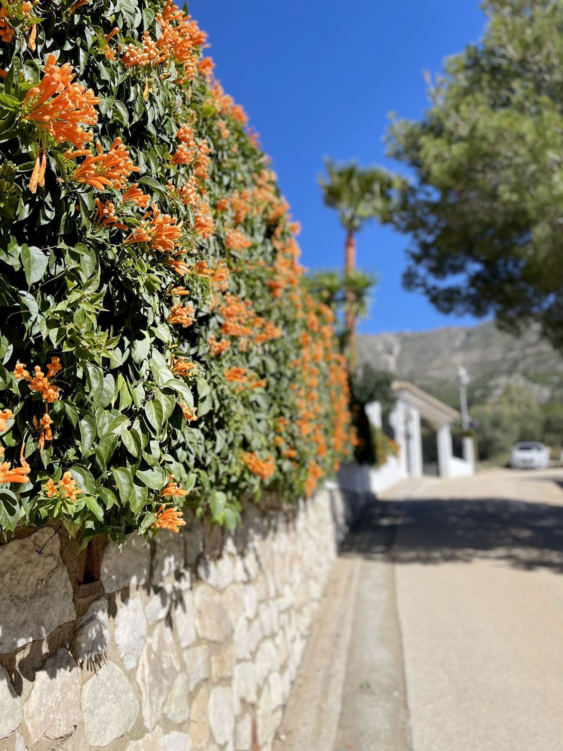 Huis in Valtocado, Andalusia 11748117