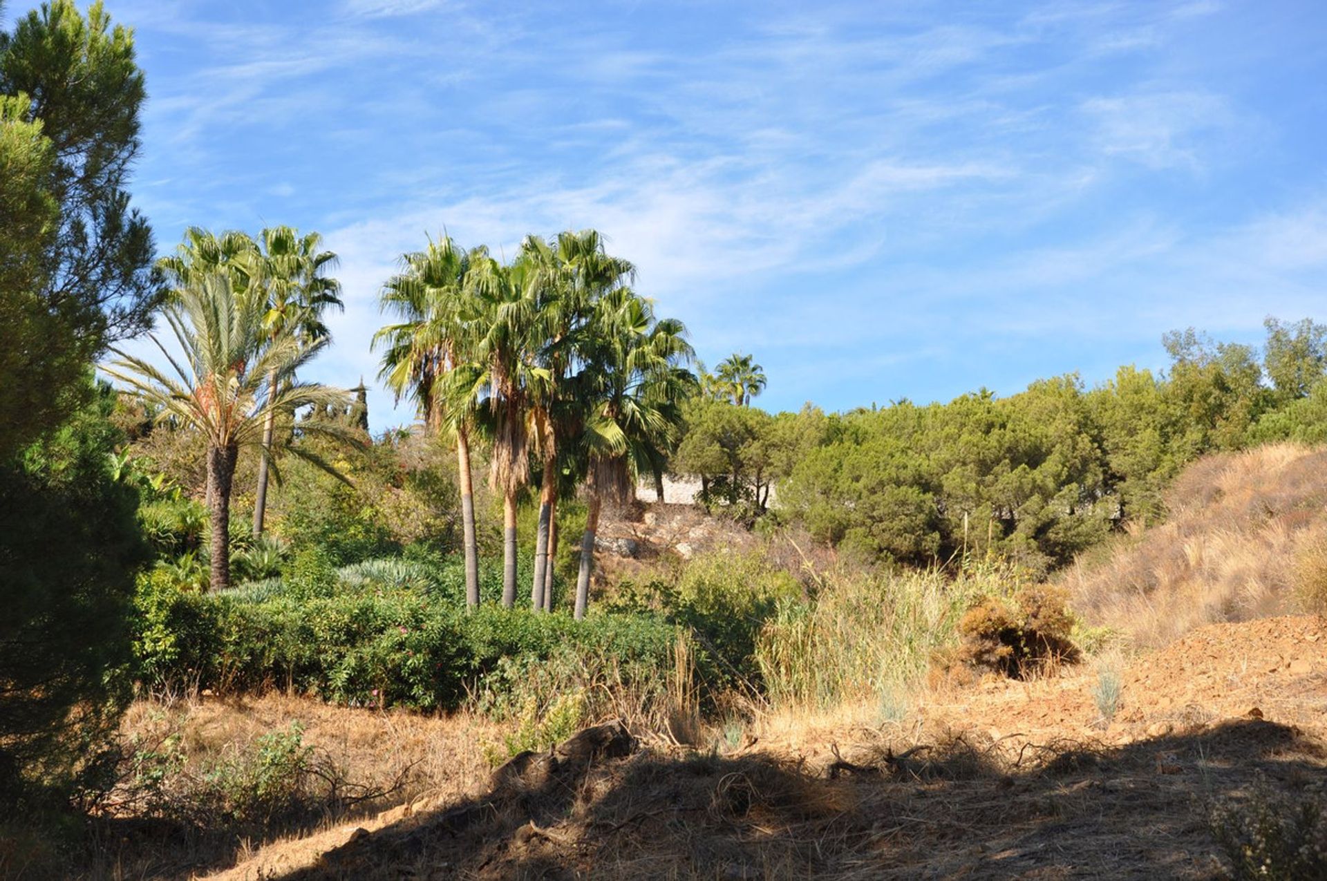 Terre dans Valtocado, Andalusia 11748399