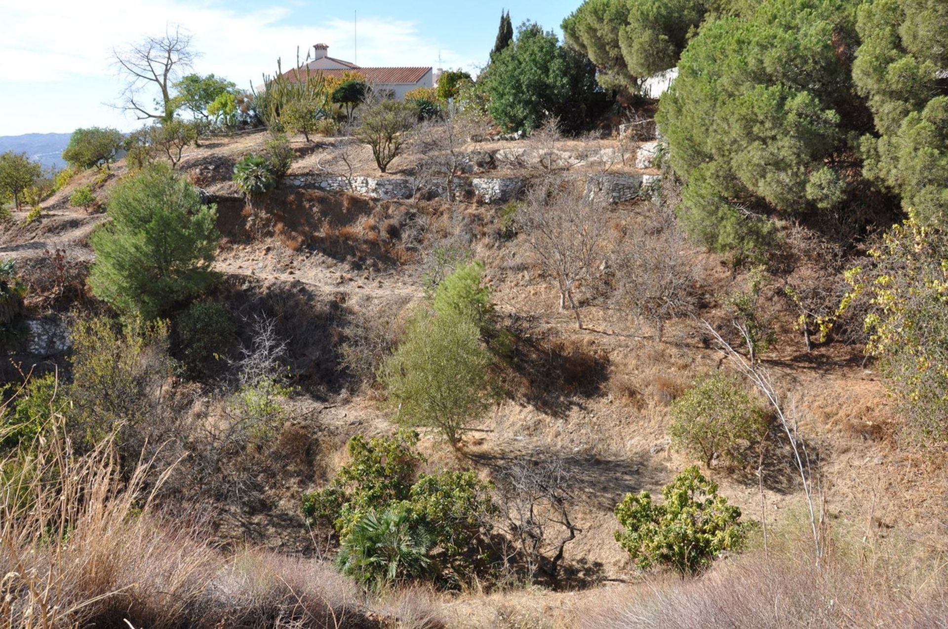 Tierra en Alhaurín el Grande, Andalucía 11748399