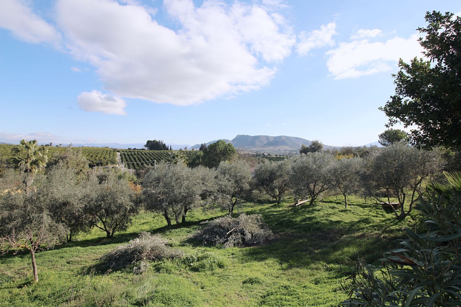 بيت في Villafranco de Guadalhorce, Andalucía 11748405