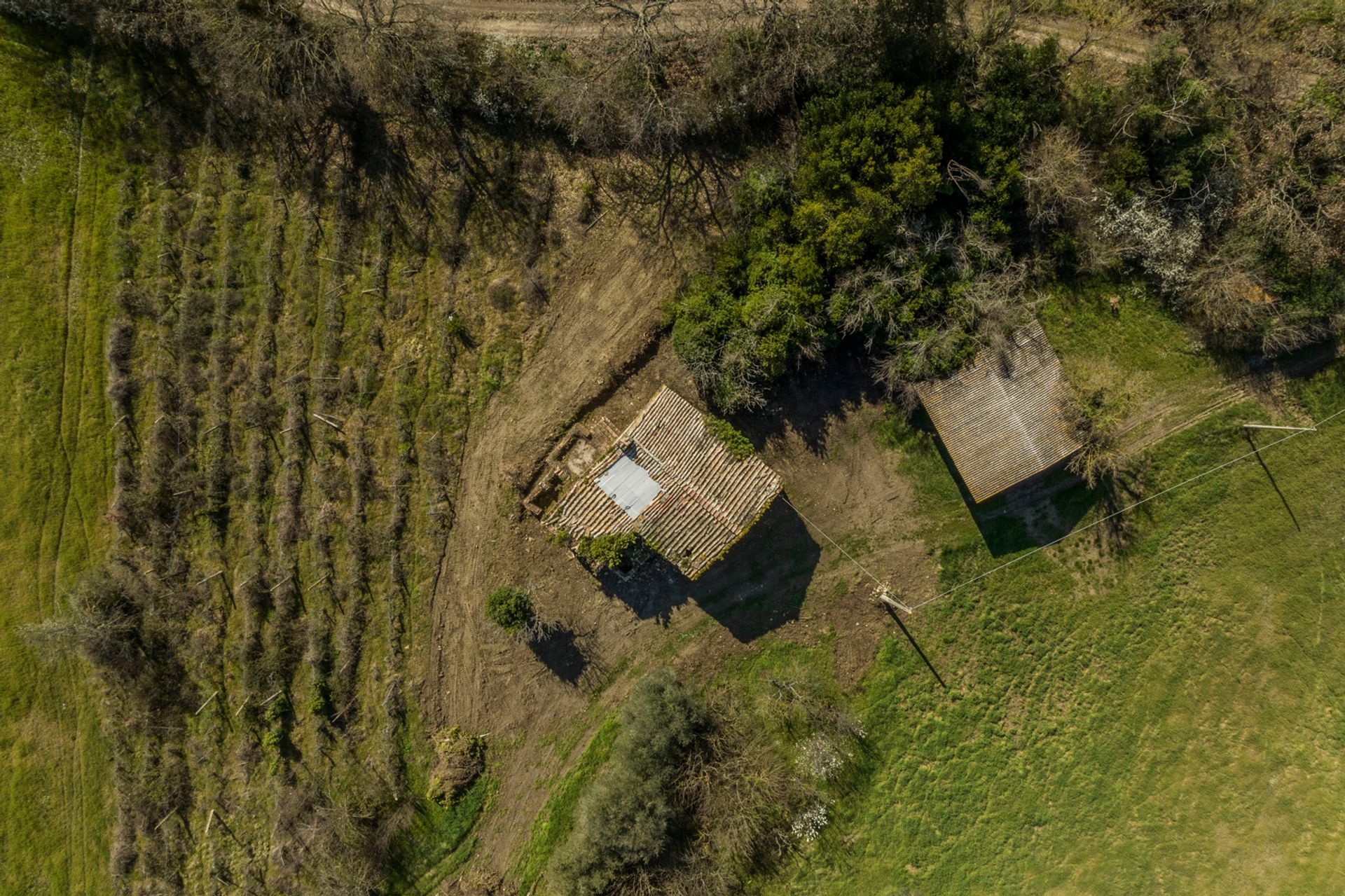 Casa nel Amelia, Umbria 11748776