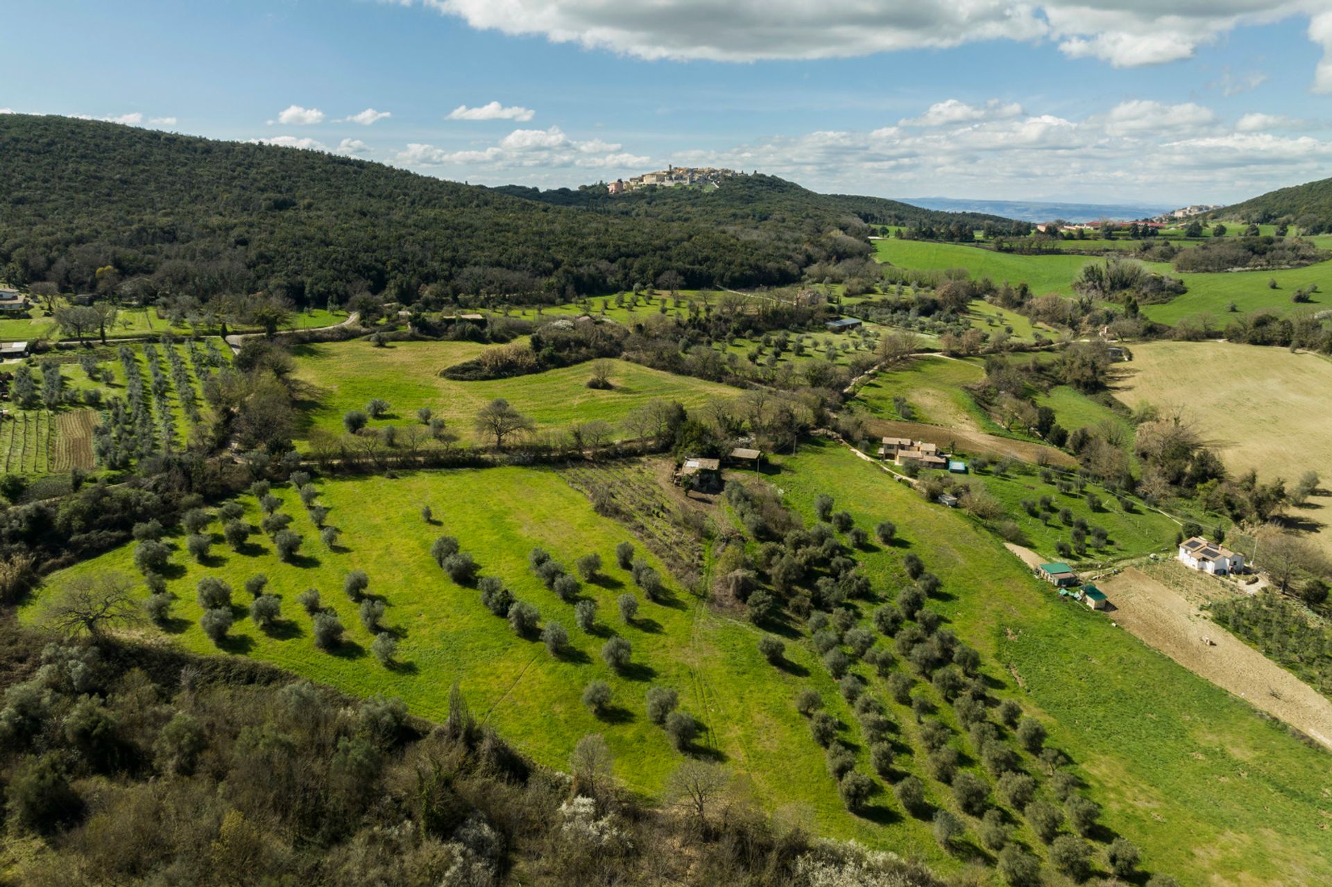 жилой дом в Amelia, Umbria 11748776