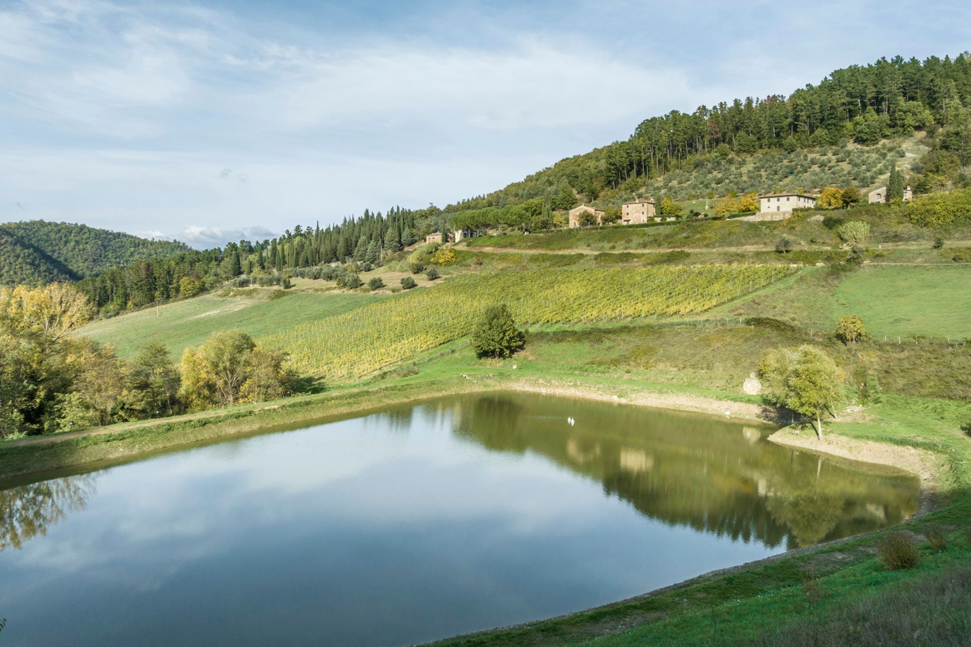 Συγκυριαρχία σε Rufina, Toscana 11748815